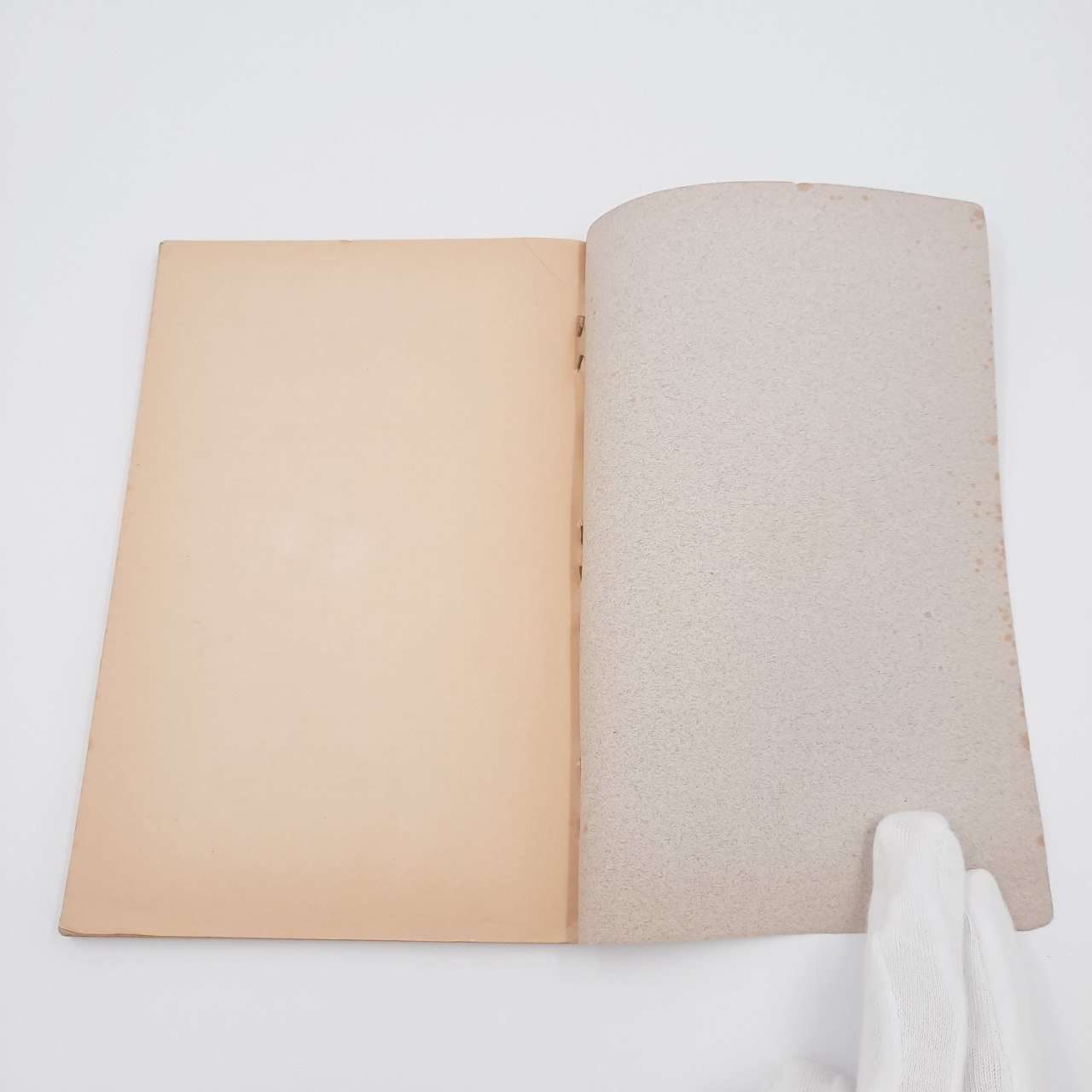 Книга "Работы Окской биологической станции в гор. Муроме", т. 2, №3, бумага, печать
