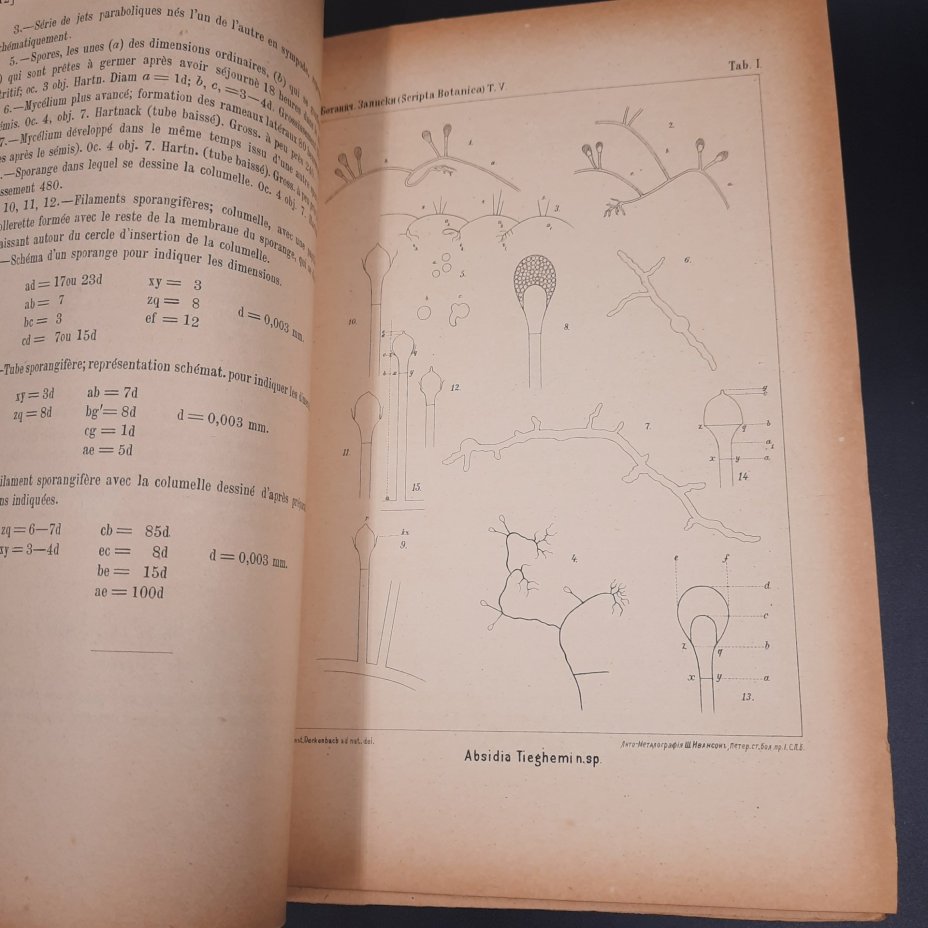Бекетов А.Н., Гоби Хр. "Ботанические записки, издаваемые при Ботаническом саде Императорского Санкт-Петербургского университета", выпуск 12 тома V