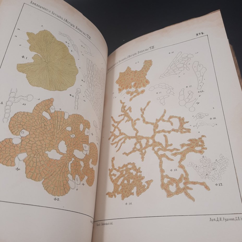 Бекетов А.Н., Гоби Хр. "Ботанические записки, издаваемые при Ботаническом саде Императорского Санкт-Петербургского университета", том III, выпуск 2