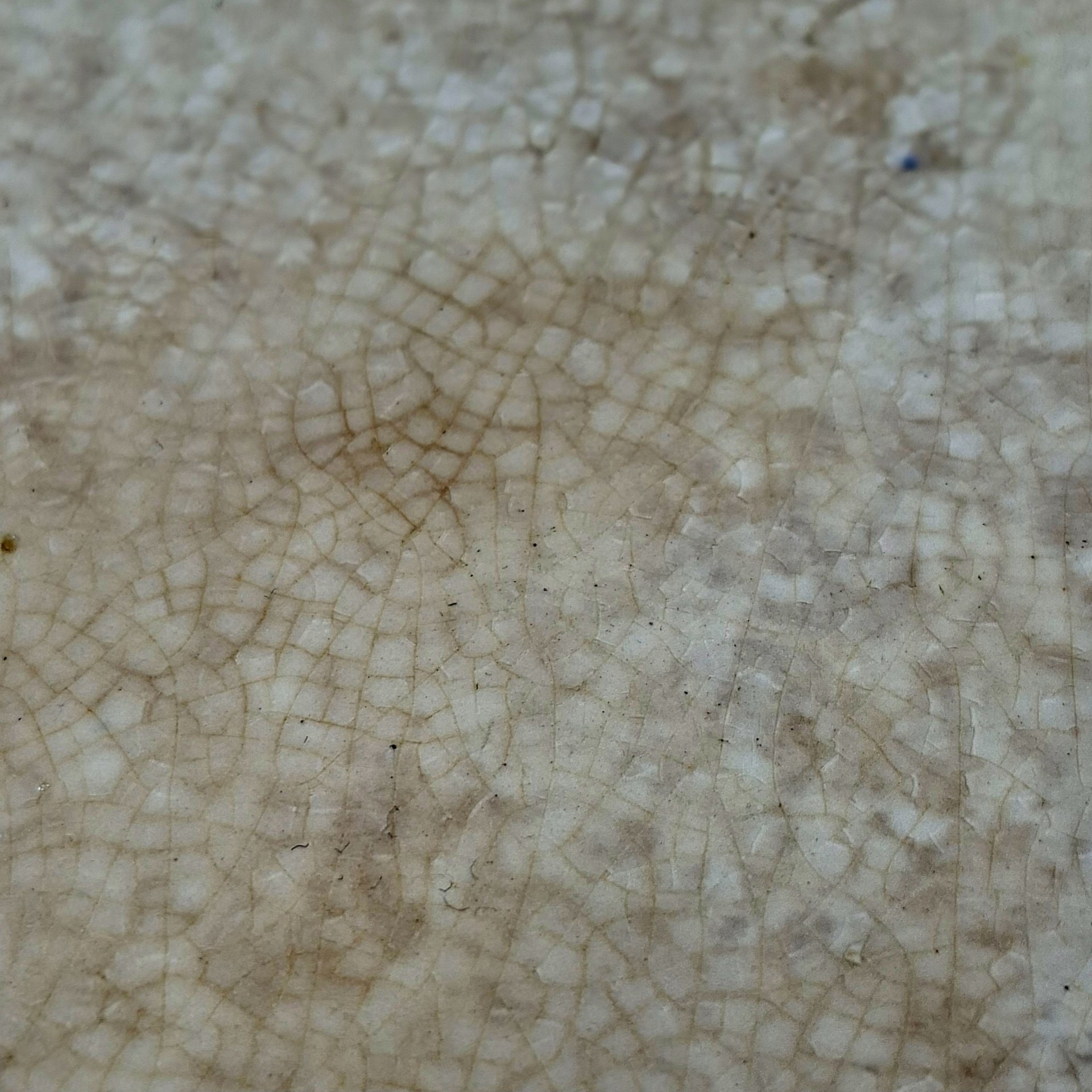 Тарелка десертная с растительным декором, фаянс, крытье, деколь, золочение, Wedgwood, Великобритания, 1900-1906 гг.