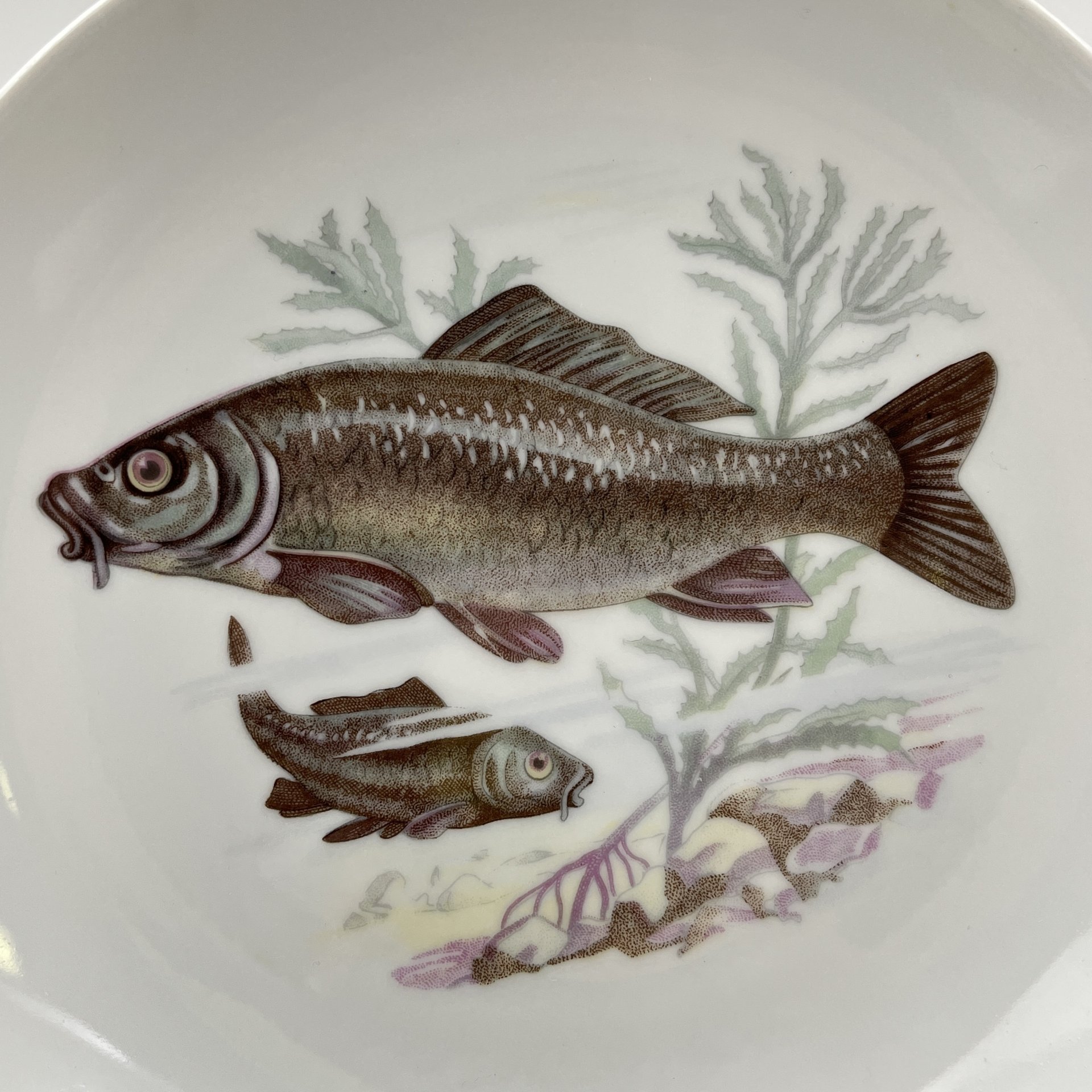 Набор тарелок на 6 персон с изображением рыб, фарфор, деколь, Kahla, ГДР, 1968-1987 гг.