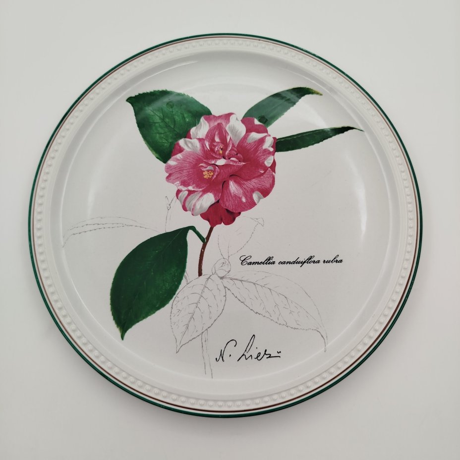 Тарелка декоративная с изображением "Camellia canduiflora rubra" из серии "Камелии", автор Nicolas Liex (Никола Лие), фарфор, деколь, Villeroy & Boch, Villeroy & Boch