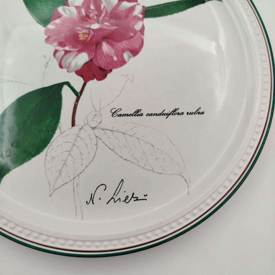 Тарелка декоративная с изображением "Camellia canduiflora rubra" из серии "Камелии", автор Nicolas Liex (Никола Лие), фарфор, деколь, Villeroy & Boch, Villeroy & Boch