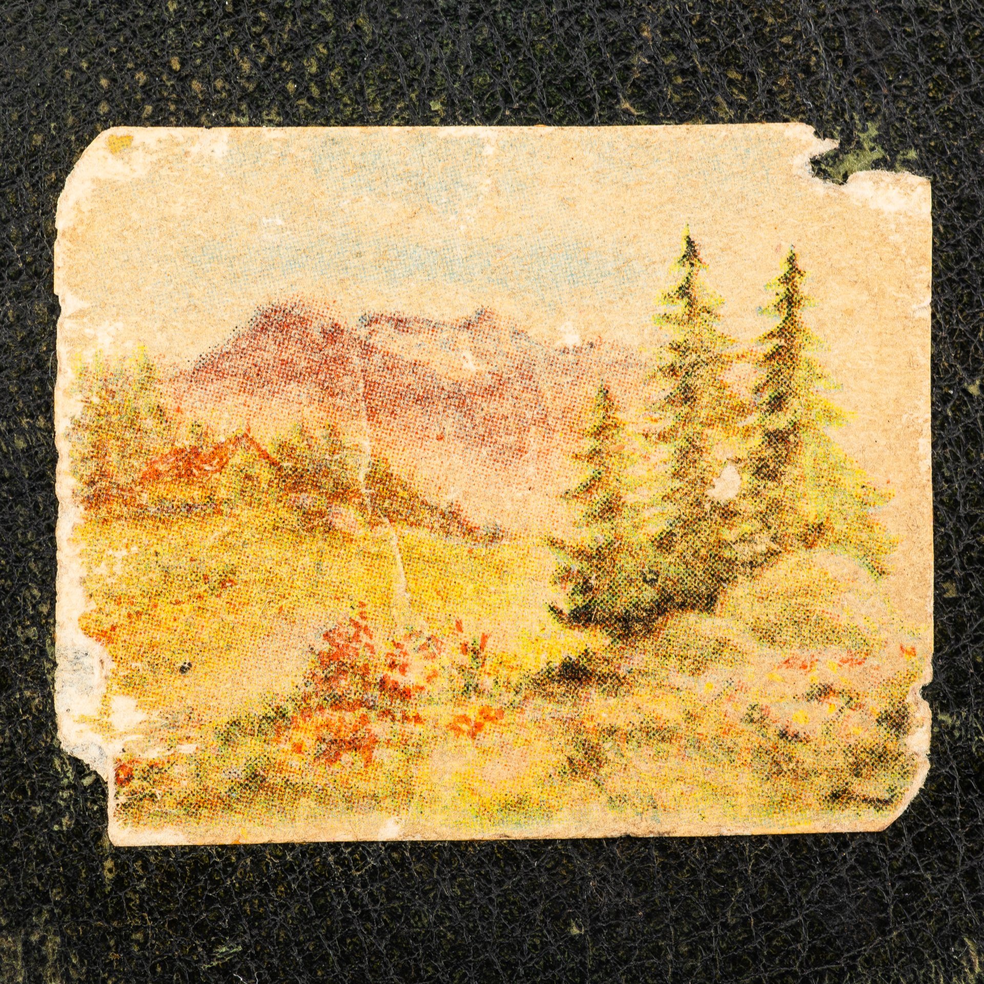 Книга "Ветхий Завет" на западноармянском языке, напечатан при поддержке Американского Библейского Общества (The American Bible Society) в Бейруте, бумага, печать, кожаный переплет, золочение обреза, Сирия, 1926 г.