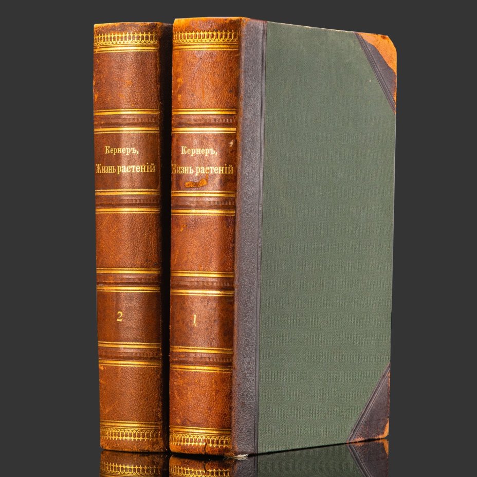 Книга А. Кернер фон-Марилаун «Жизнь растений» с иллюстрациями, том 1, том 2, бумага, печать, кожа, тиснение, золочение, Книгоиздательское товарищество «Просвещение», Российская империя, 1903 г.