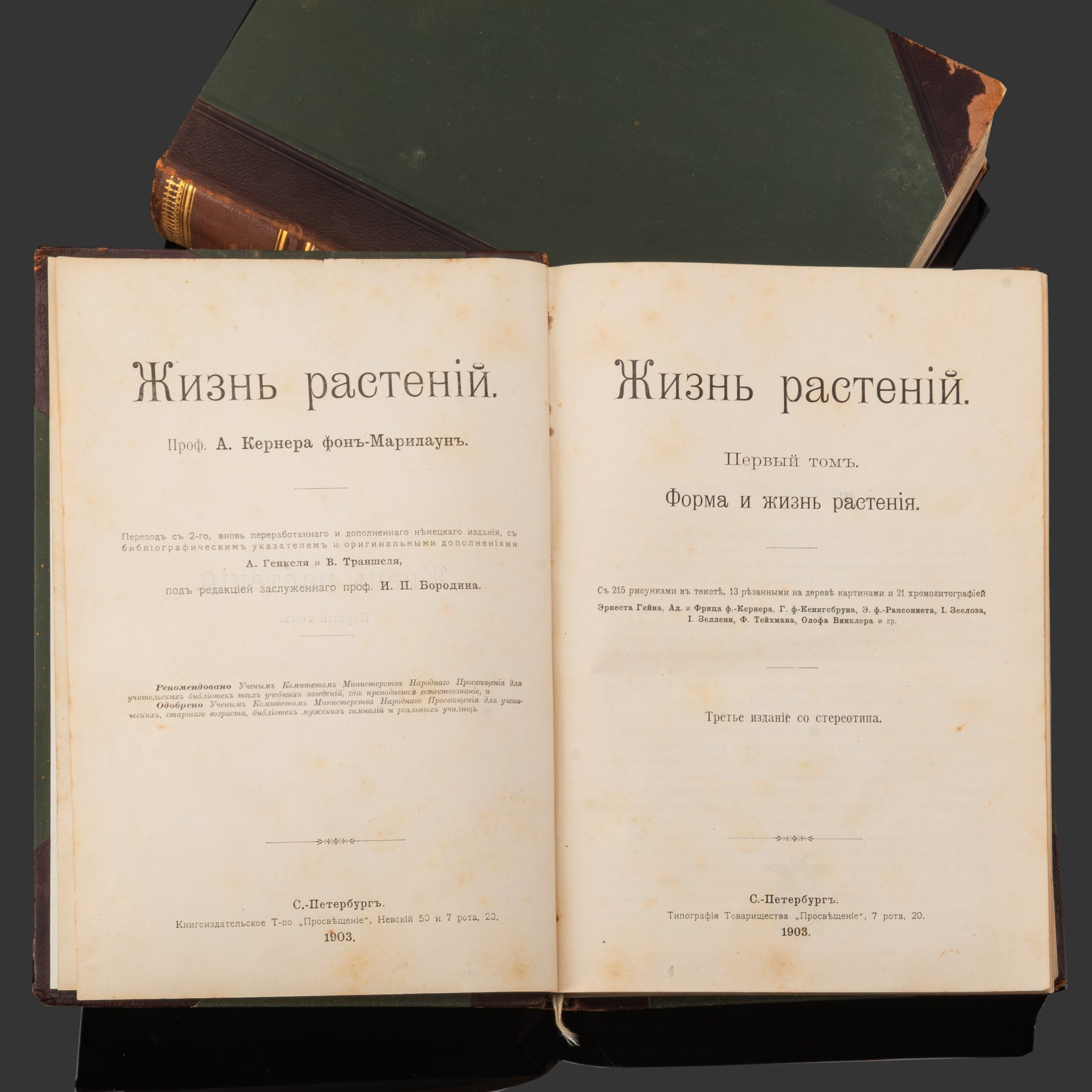 Книга А. Кернер фон-Марилаун «Жизнь растений» с иллюстрациями, том 1, том 2, бумага, печать, кожа, тиснение, золочение, Книгоиздательское товарищество «Просвещение», Российская империя, 1903 г.