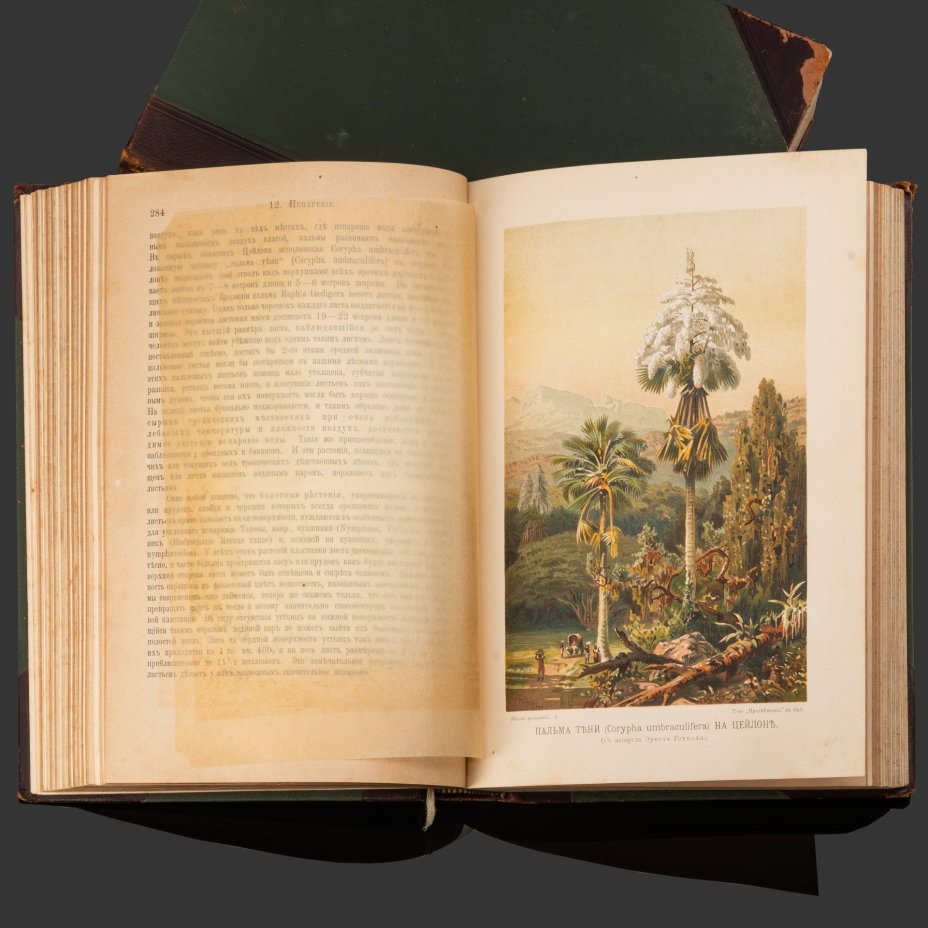 Книга А. Кернер фон-Марилаун «Жизнь растений» с иллюстрациями, том 1, том 2, бумага, печать, кожа, тиснение, золочение, Книгоиздательское товарищество «Просвещение», Российская империя, 1903 г.