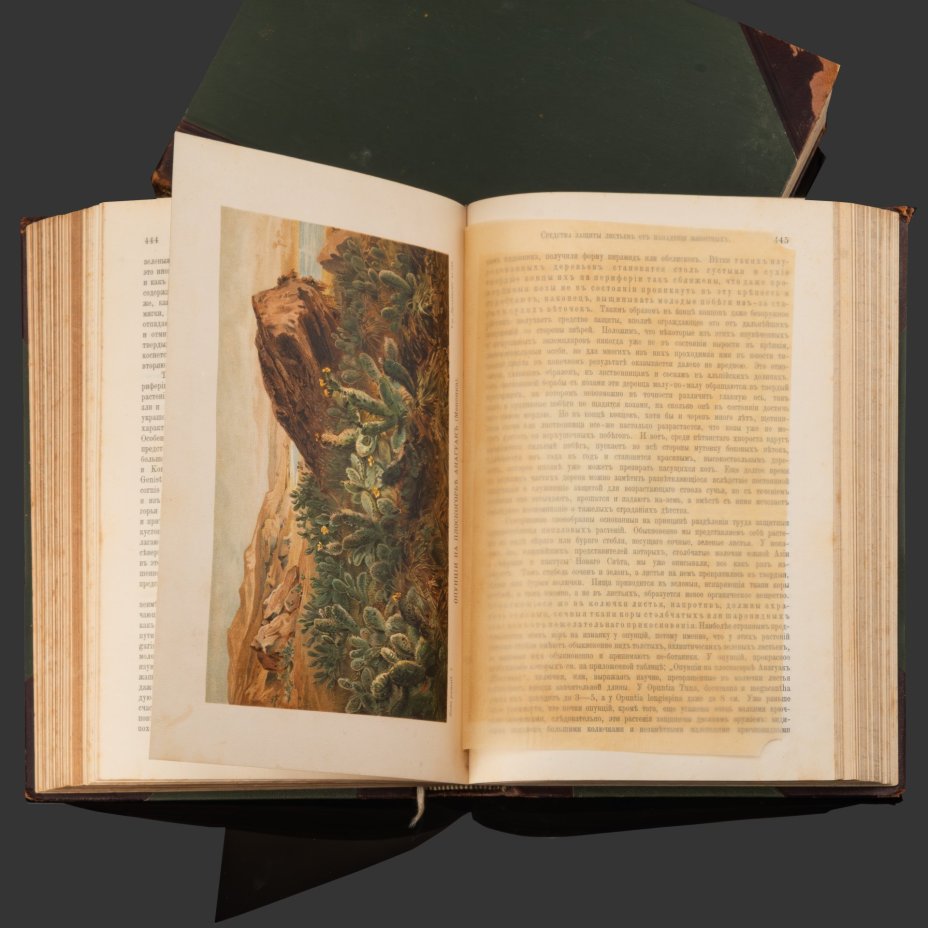Книга А. Кернер фон-Марилаун «Жизнь растений» с иллюстрациями, том 1, том 2, бумага, печать, кожа, тиснение, золочение, Книгоиздательское товарищество «Просвещение», Российская империя, 1903 г.