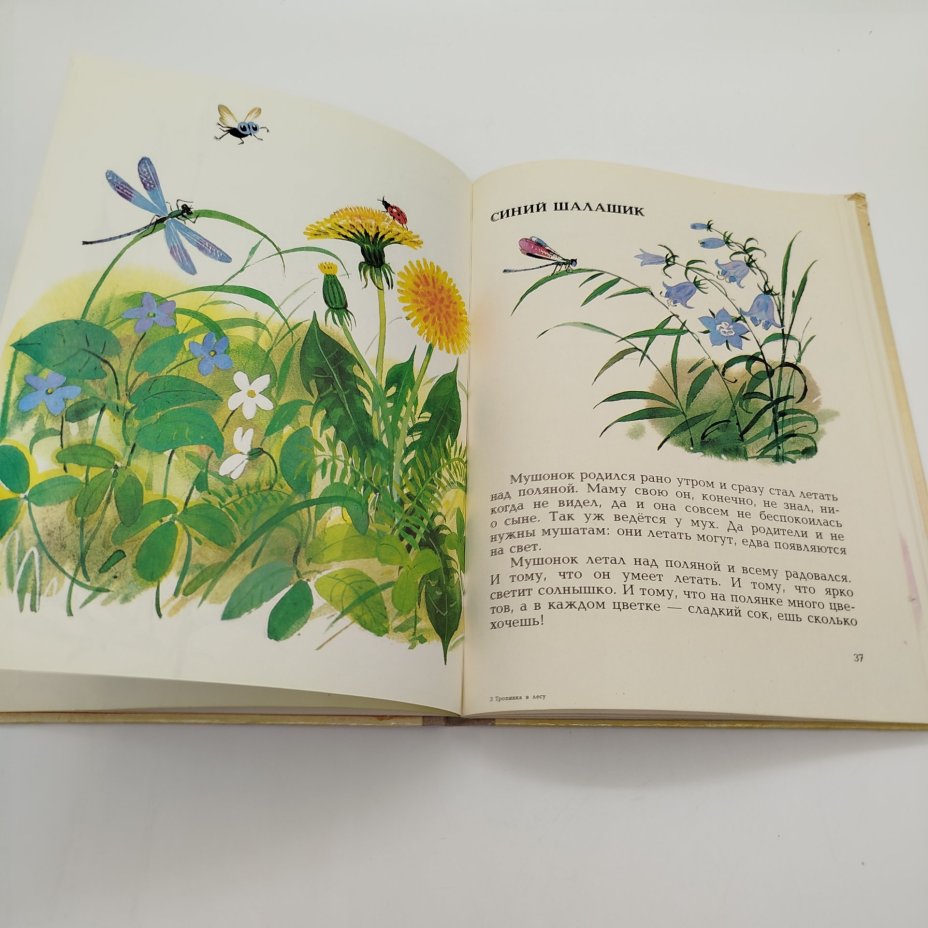 Юрий Дмитриев "Тропинка в лесу", Издательство "Малыш"