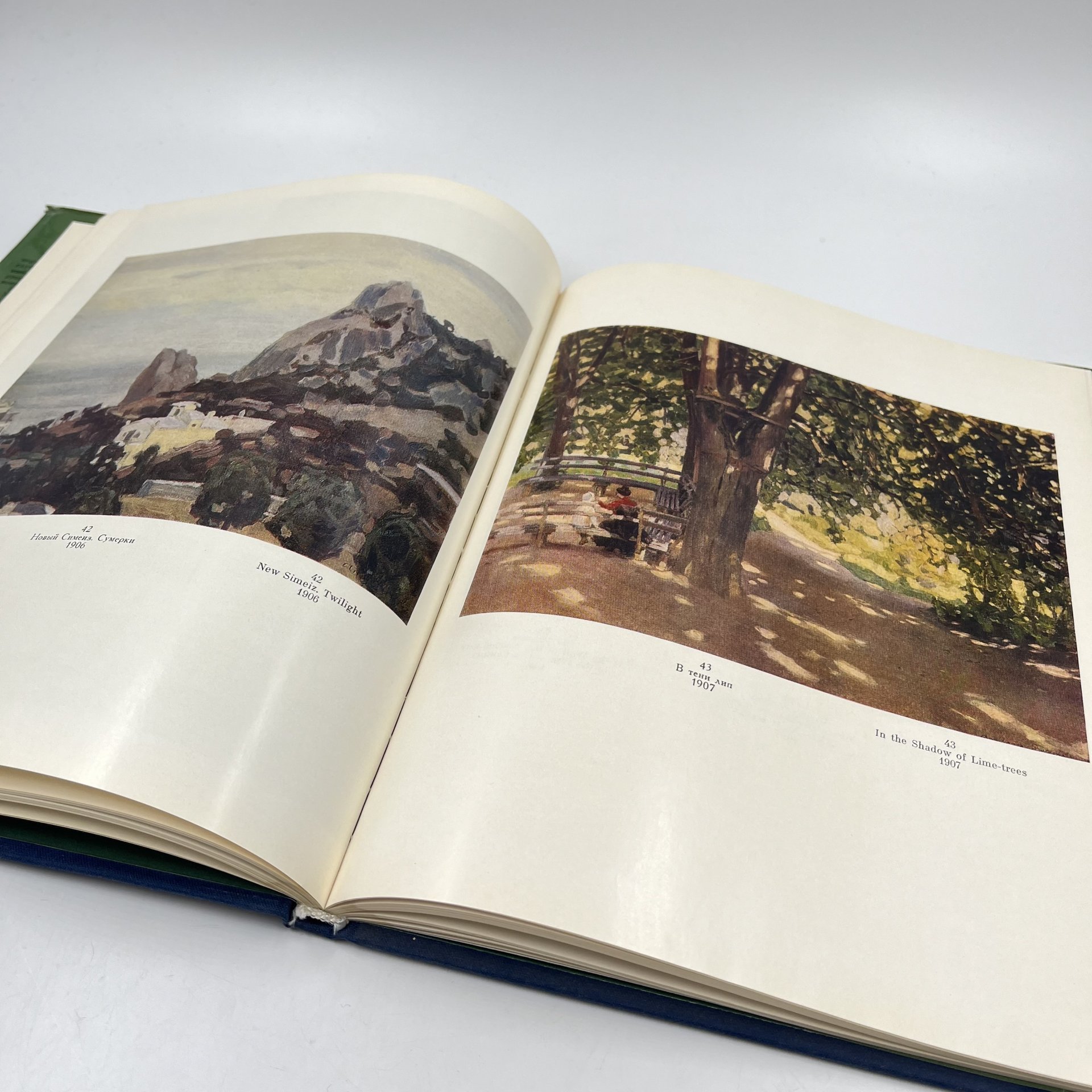 Книга "Аполлинарий Васнецов", авт. Е. К. Васнецова, И. М. Шмидт, Издательство «Изобразительное искусство»
