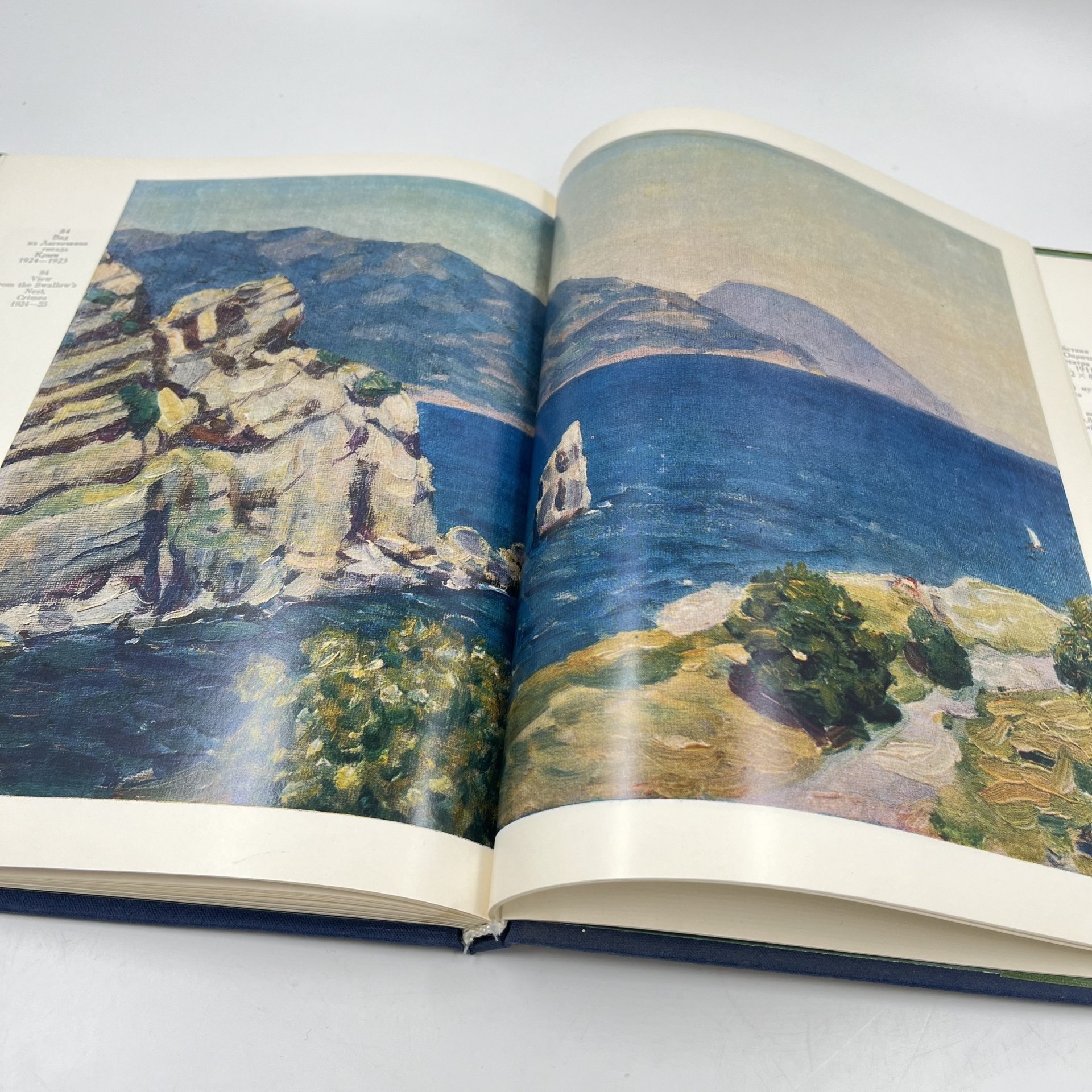 Книга "Аполлинарий Васнецов", авт. Е. К. Васнецова, И. М. Шмидт, Издательство «Изобразительное искусство»