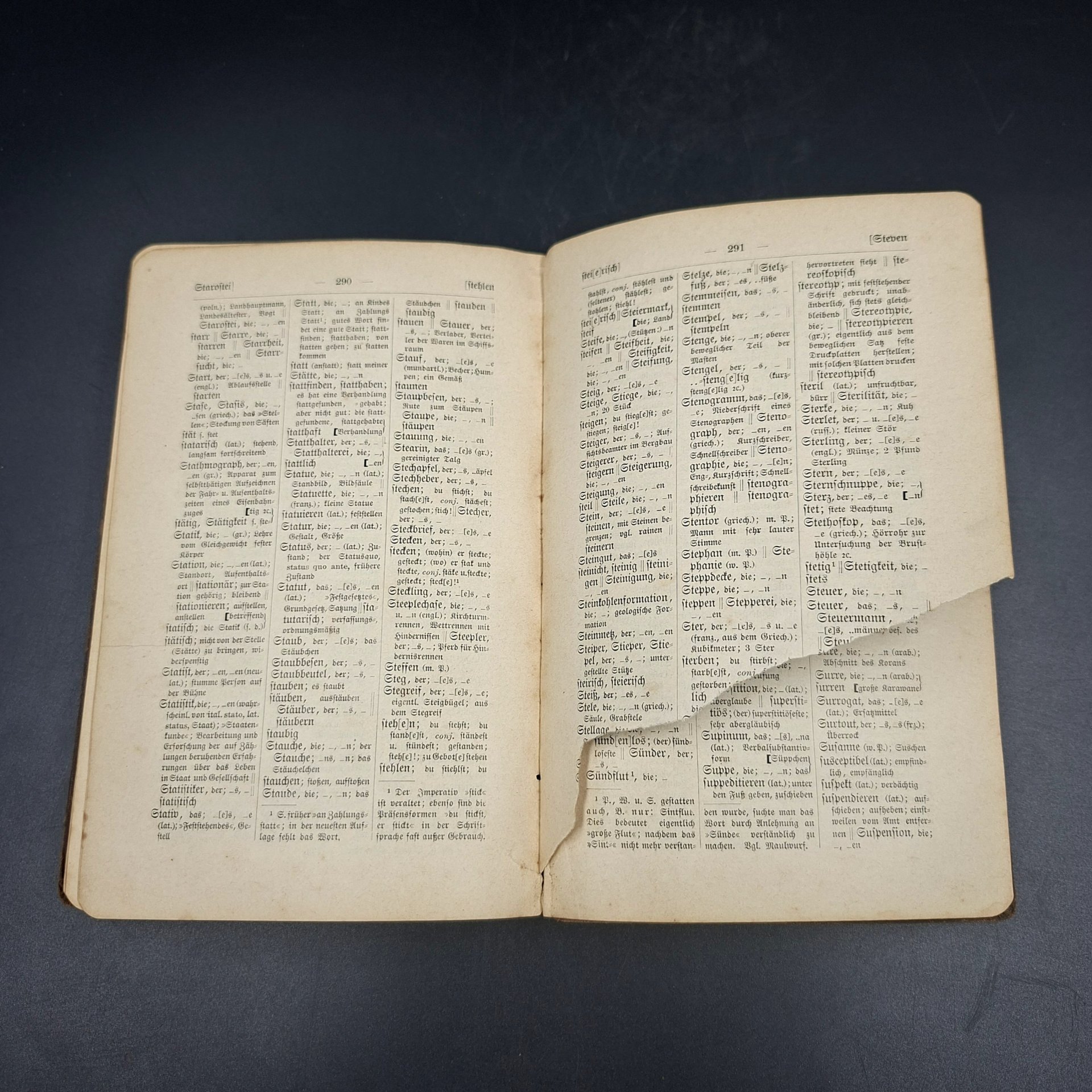Книга "Vollständiges orthographisches wörterbuch" ("Полный орфографический словарь")