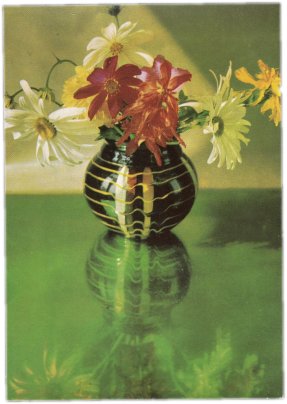 Открытка (открытое письмо) фот. Смоляков 1973