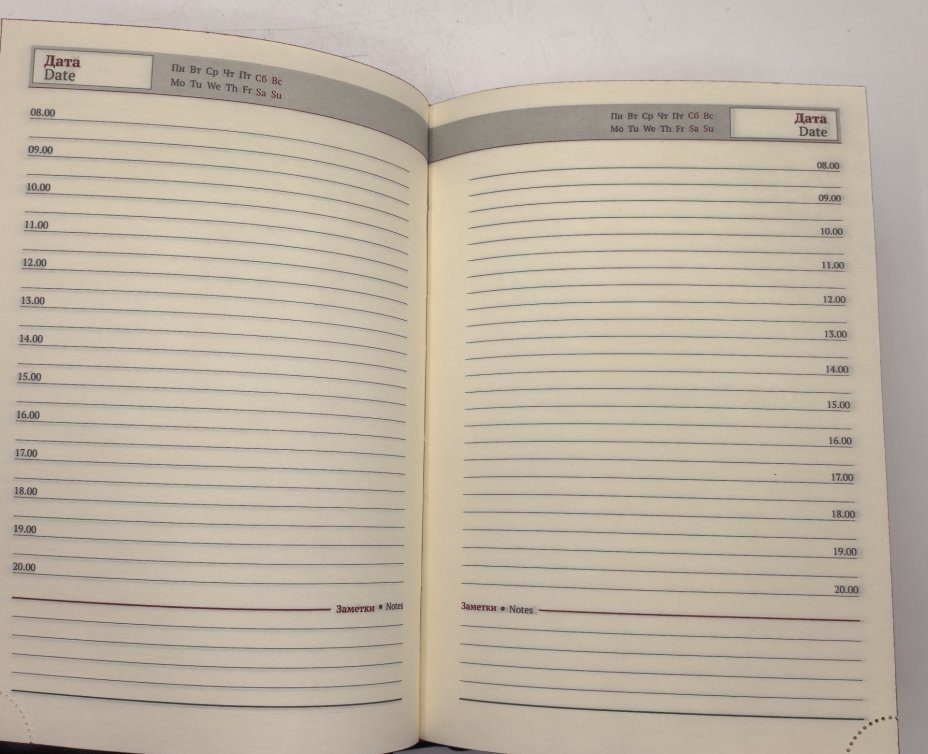 Ежедневник недатированный "Лев", подарочное издание, кожаный переплет, авторская ручная работа, Россия