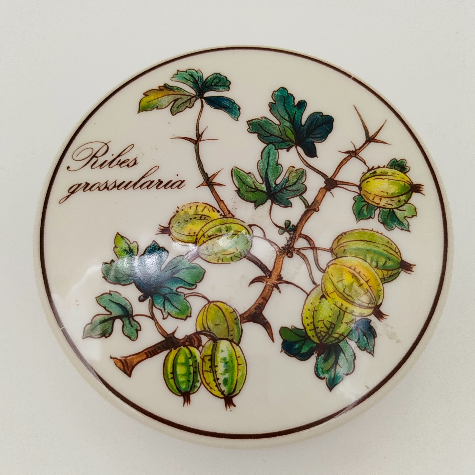 Шкатулка с изображением крыжовника (Ribes grossularia) из серии "Botanica", фарфор, деколь, Villeroy & Boch, Люксембург, 1980-2000 гг.