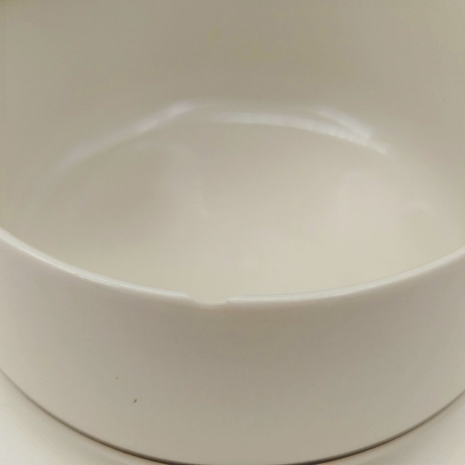 Шкатулка с изображением крыжовника (Ribes grossularia) из серии "Botanica", фарфор, деколь, Villeroy & Boch, Люксембург, 1980-2000 гг.