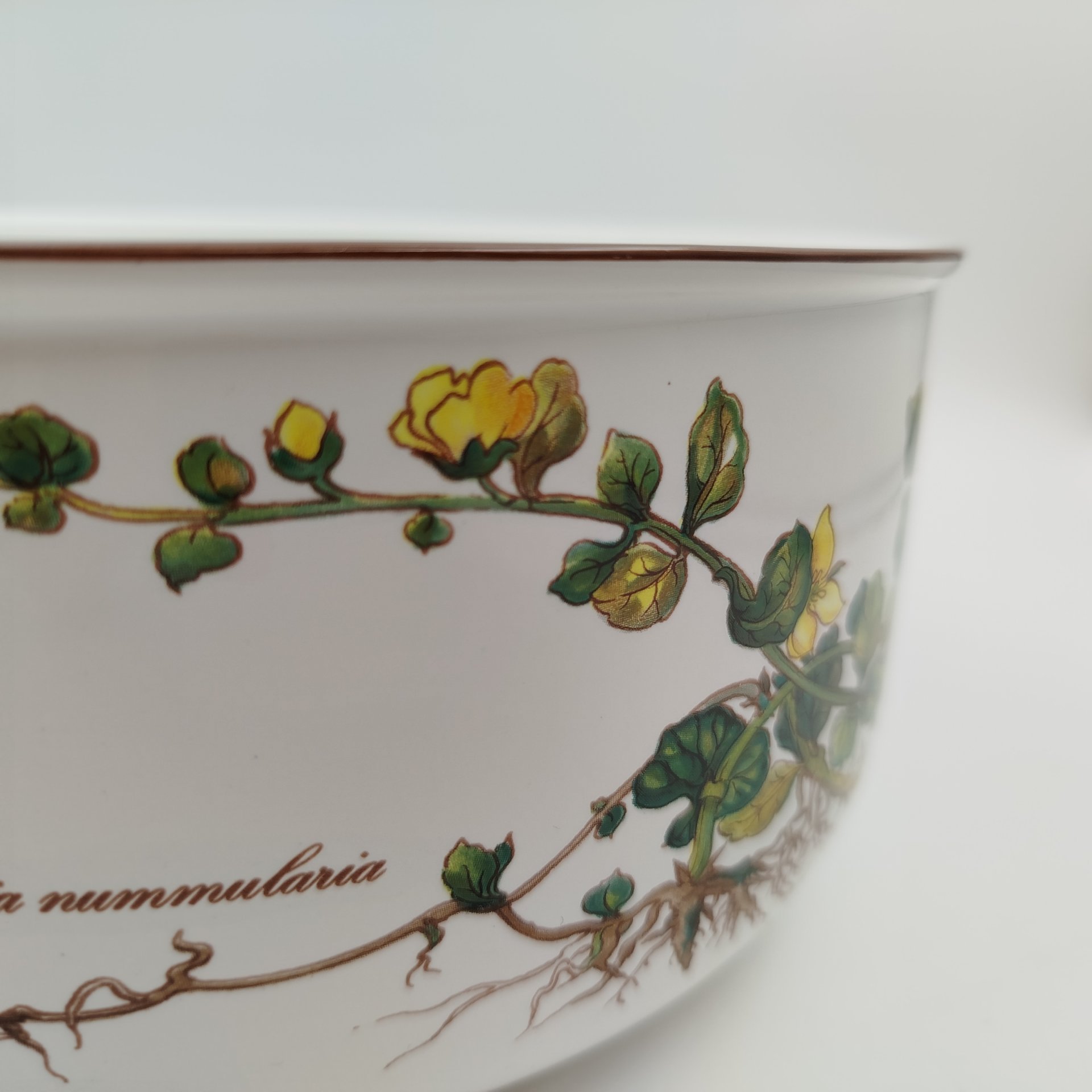 Салатник с изображением  Вербейника монетчатого (Lysimachia nummularia) из серии "Botanica", фарфор, деколь, Villeroy & Boch, Люксембург, 1990-2008 гг., Villeroy & Boch