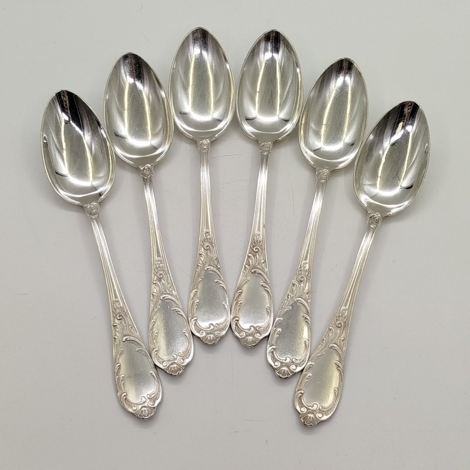 Набор из 6-ти столовых ложек с растительным декором