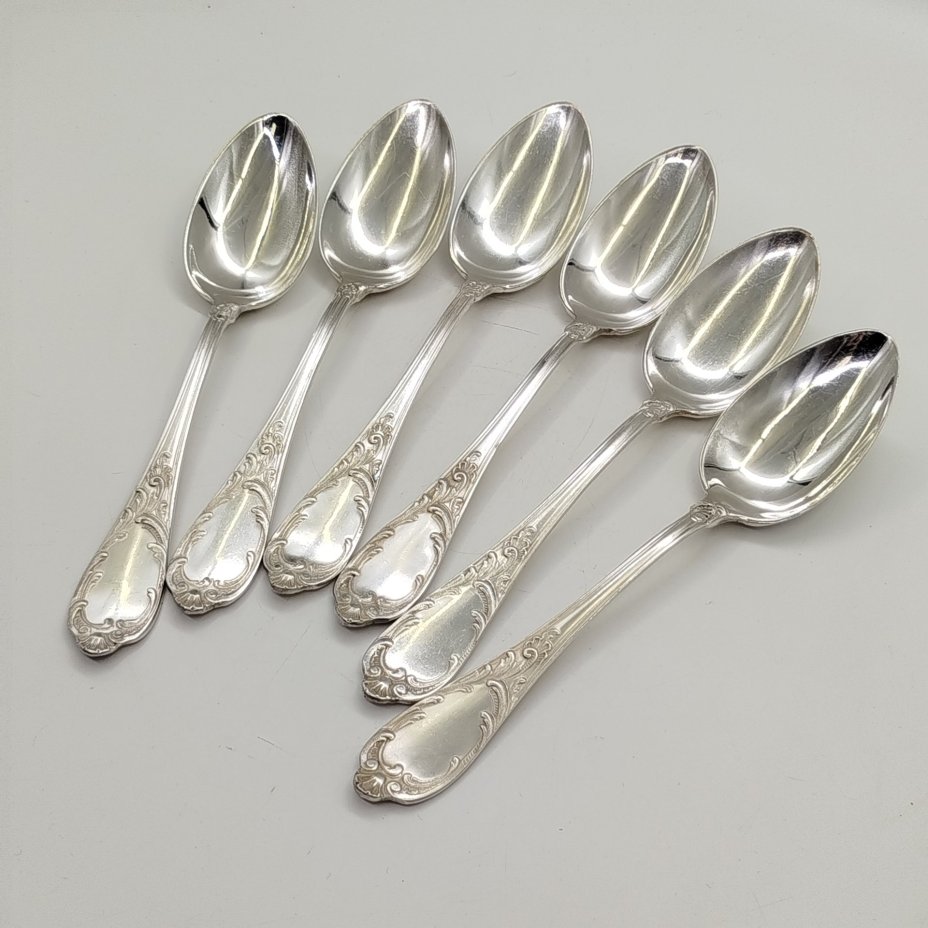 Набор из 6-ти столовых ложек с растительным декором