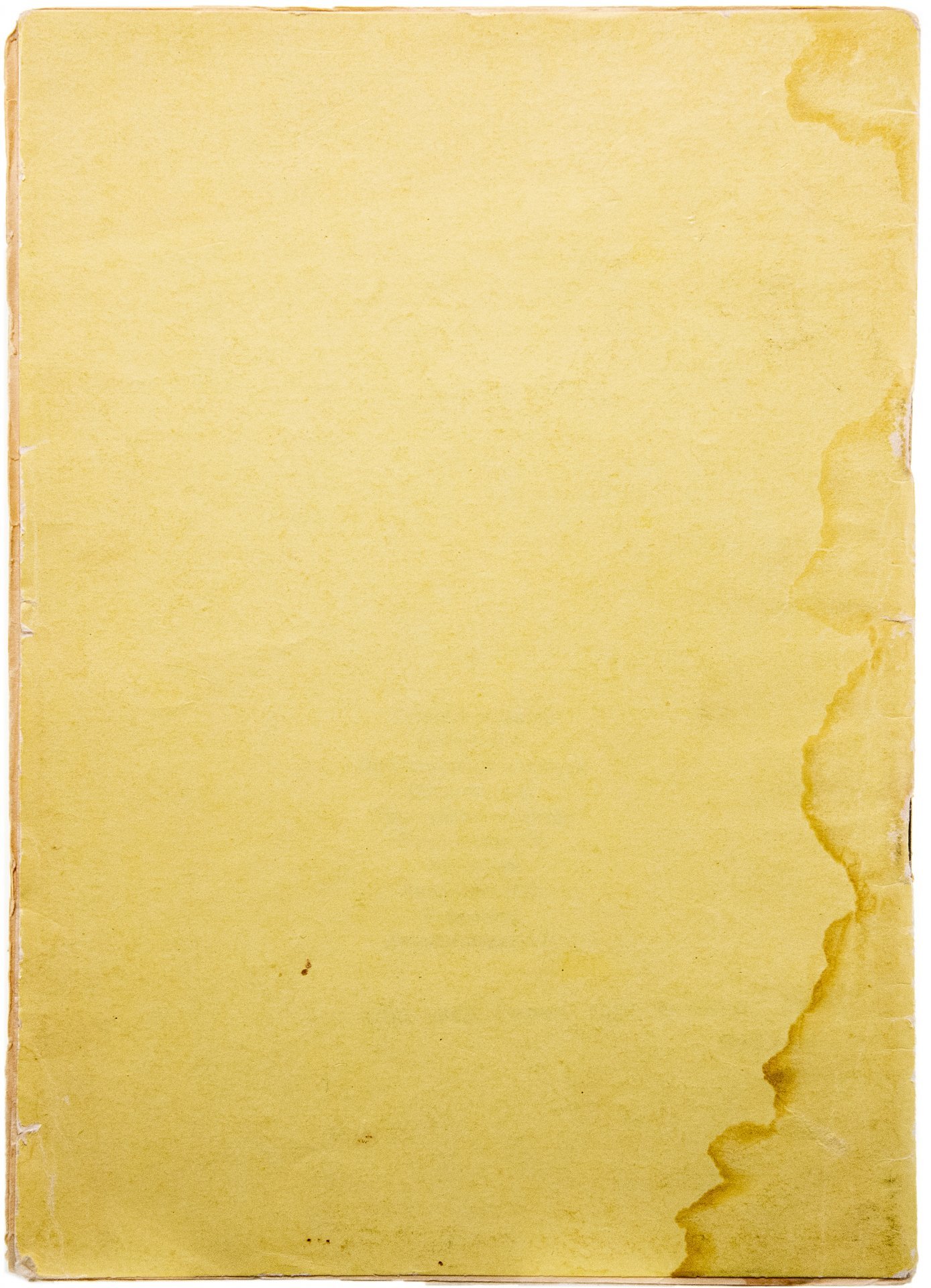 Шейнин В.А. "Дневник Николая 2", бумага, печать, фирма "Эльба-Дар", г. Санкт-Петербург, СССР, 1991 г.
