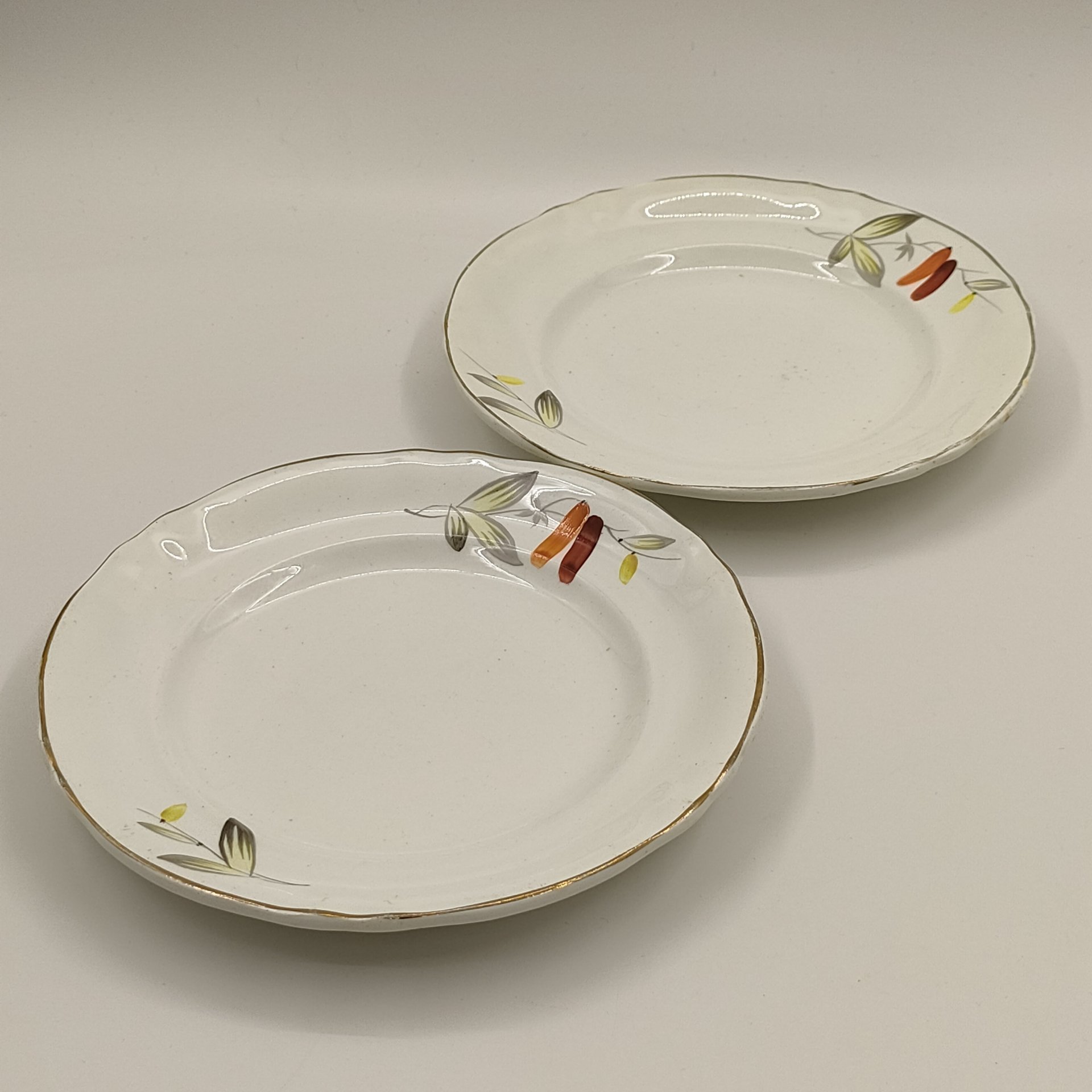 Пара десертных тарелок "Барбарис", украшенных флоральным декором, худ. Р. Г. Михайлова, Конаковский фаянсовый завод им. М.И. Калинина (ЗиК Конаково)