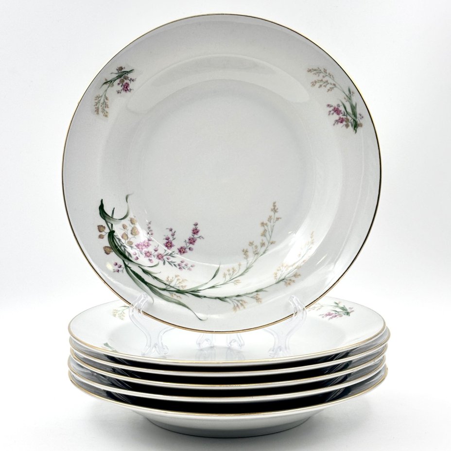 Набор обеденных (глубоких) тарелок с цветочным декором на 6 персон, фарфор, деколь, золочение, Bareuther & Co., Bavaria, Германия, 1931-1945 гг.