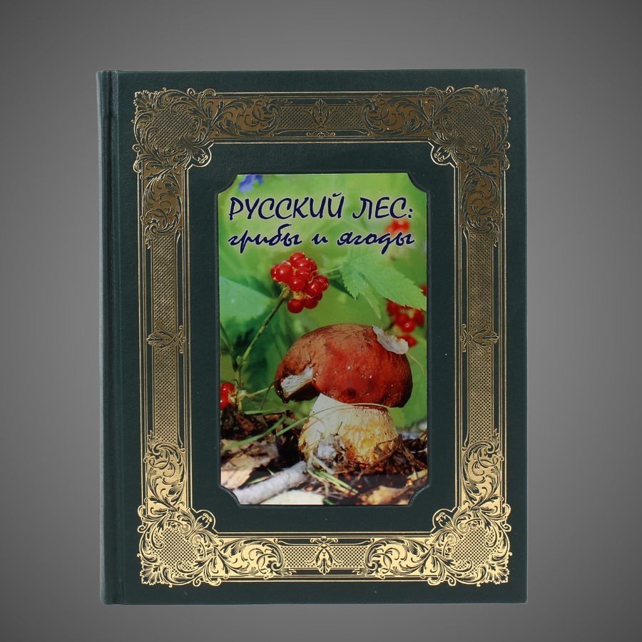 Русский лес. Грибы и ягоды