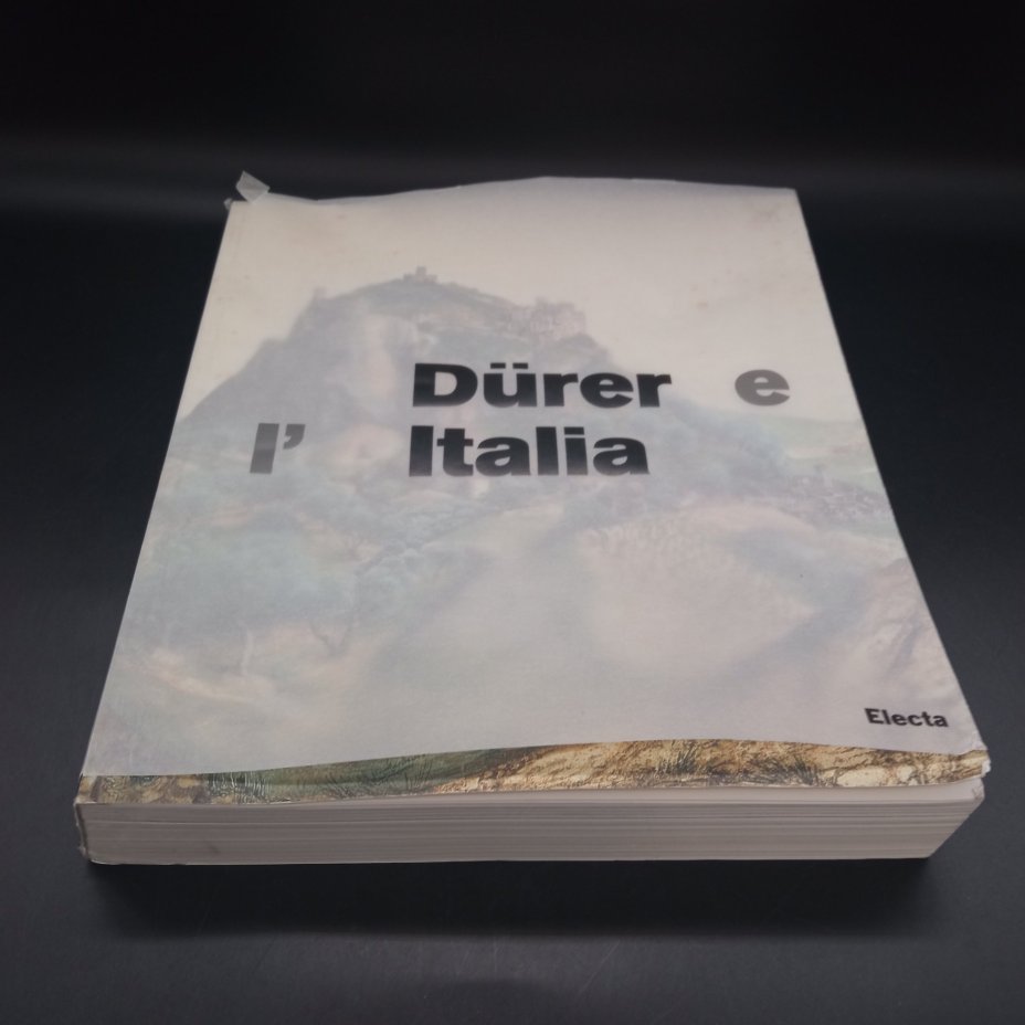 Книга о художнике Альбрехте Дюрере на итальянском языке, издательство "Electa"