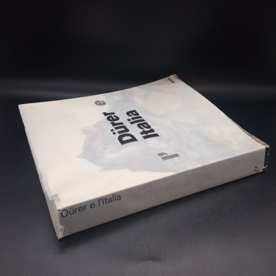 Книга о художнике Альбрехте Дюрере на итальянском языке, издательство "Electa"