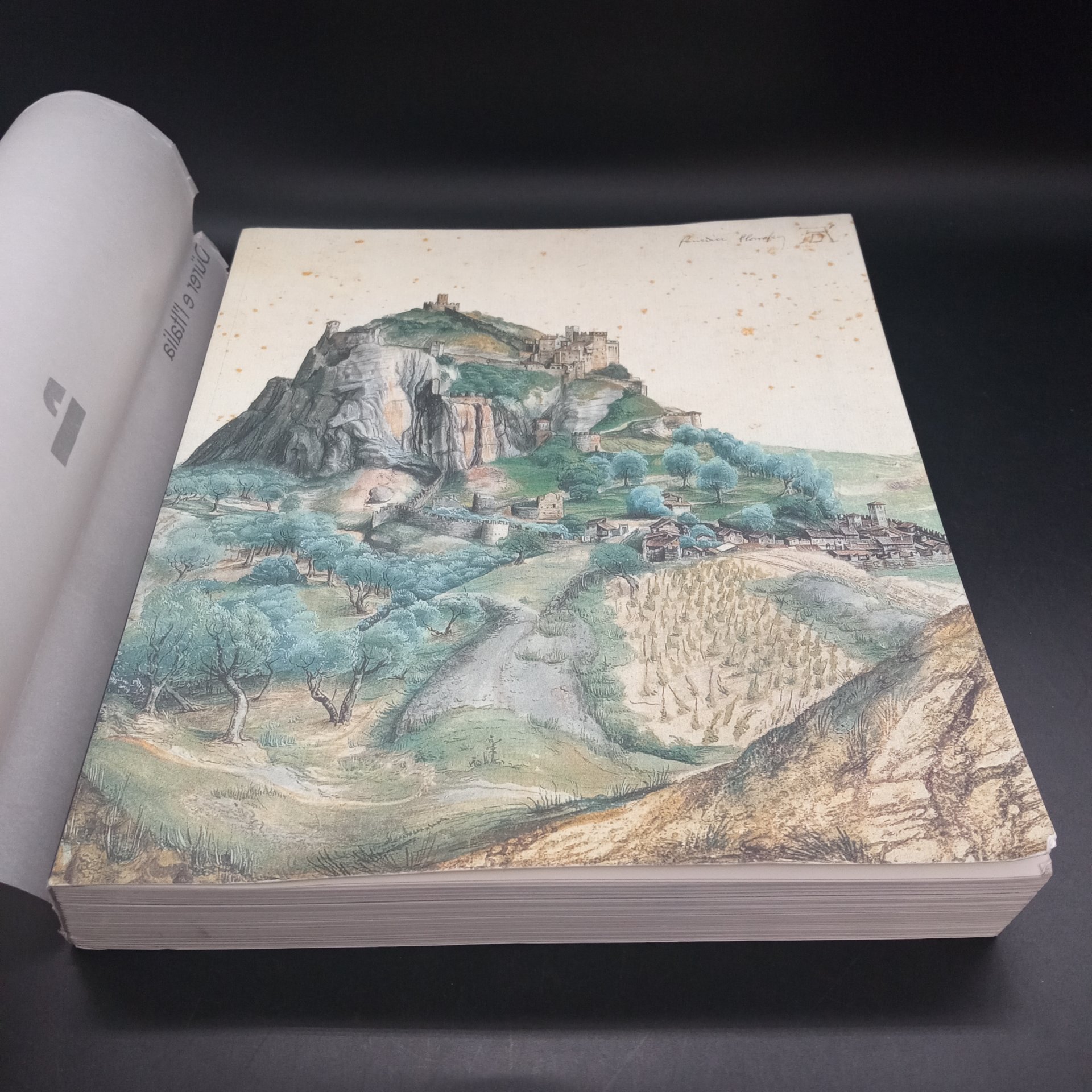 Книга о художнике Альбрехте Дюрере на итальянском языке, издательство "Electa"
