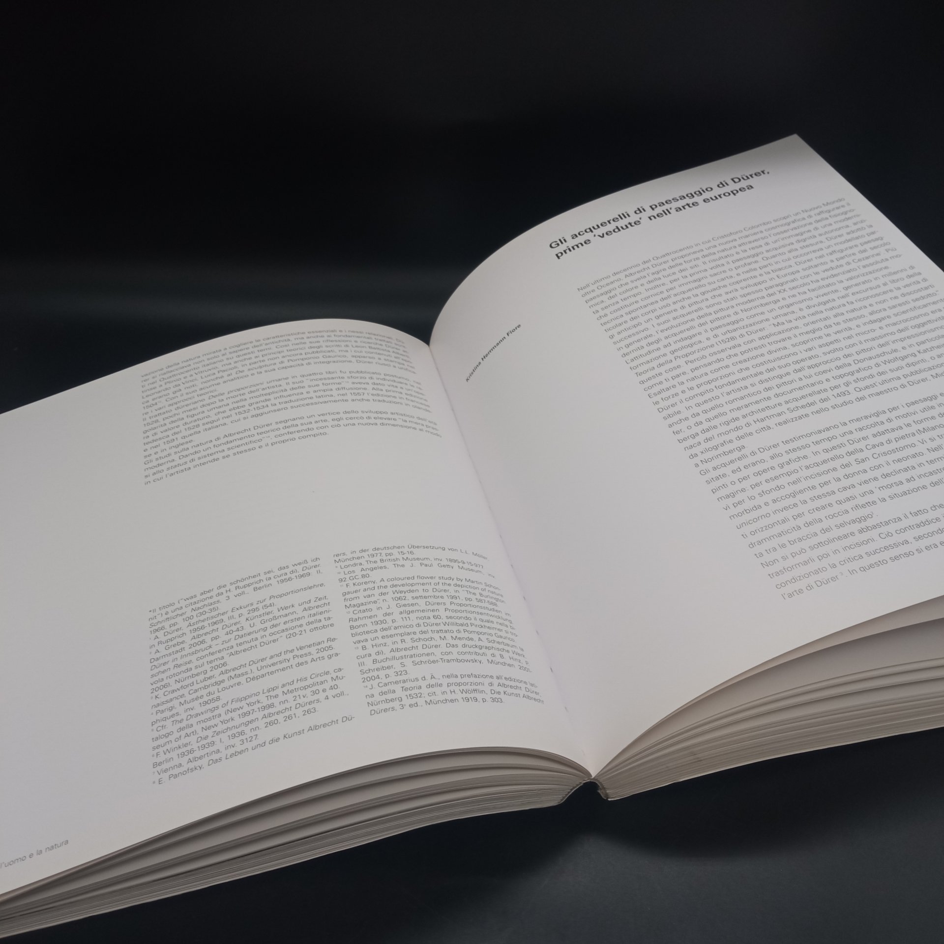 Книга о художнике Альбрехте Дюрере на итальянском языке, издательство "Electa"