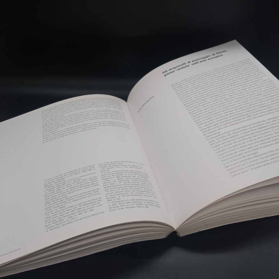 Книга о художнике Альбрехте Дюрере на итальянском языке, издательство "Electa"