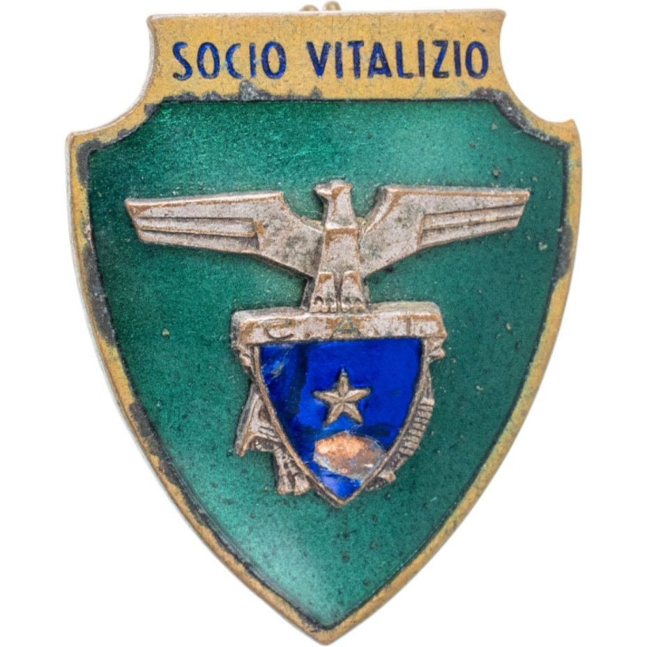 Нагрудный знак пожизненного члена альпинистского общества С.A.I. - "Club Alpino Italiano", Италия, 1990-2000 гг.