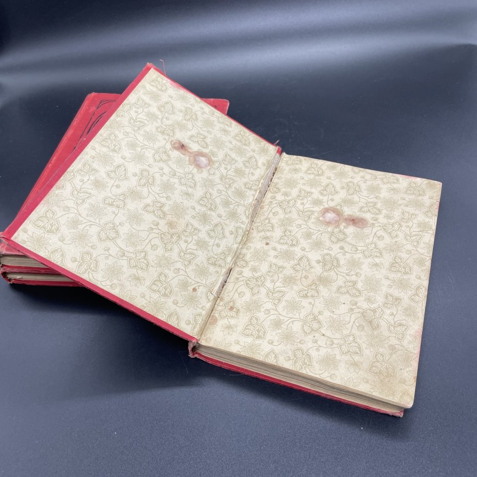 Книги Максим Горький "Рассказы" , Издание товарищества "Знание"