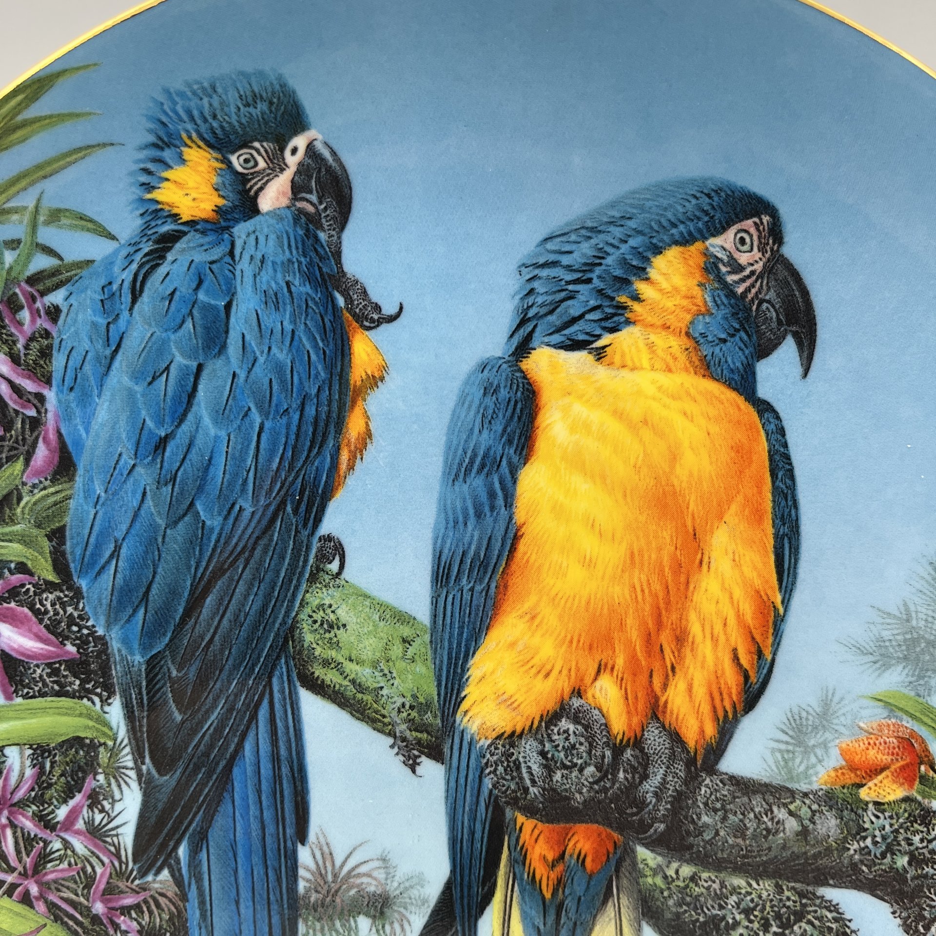 Тарелка декоративная настенная "Синегорлые ара" из коллекции "Хрупкий рай", фарфор, деколь, Wedgwood, Великобритания, 1962-1998 гг.