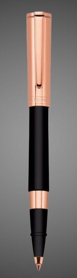 Шариковая ручка Aurora TU Metal Cap Black PGT, в подарочной коробке, Драгметаллы: позолота, позолота, смола