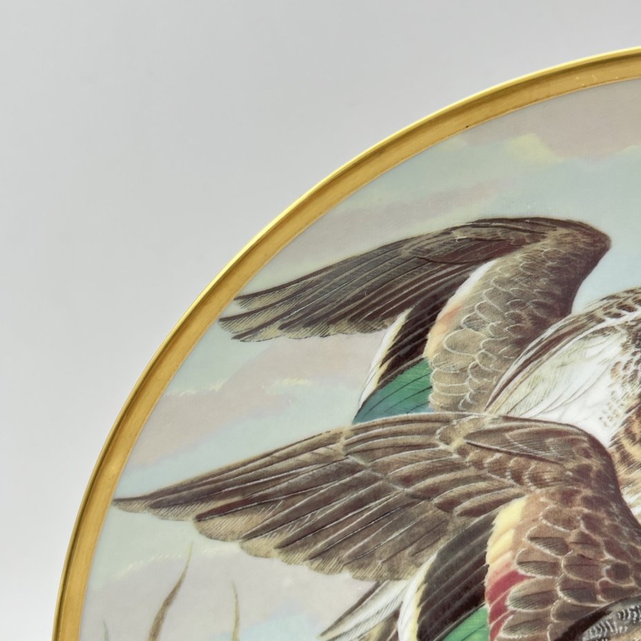 Тарелка "Зеленокрылый чирок", автор Basil Ede, серия "Водоплавающие птицы мира", фарфор, деколь, золочение, Haviland, Limoges France, Франция, 1981 г.