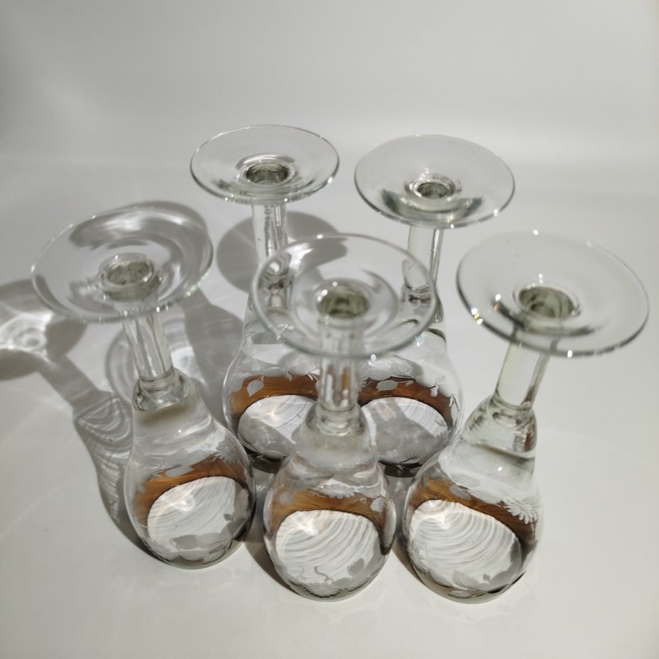 Набор из пяти бокалов с растительным орнаментом