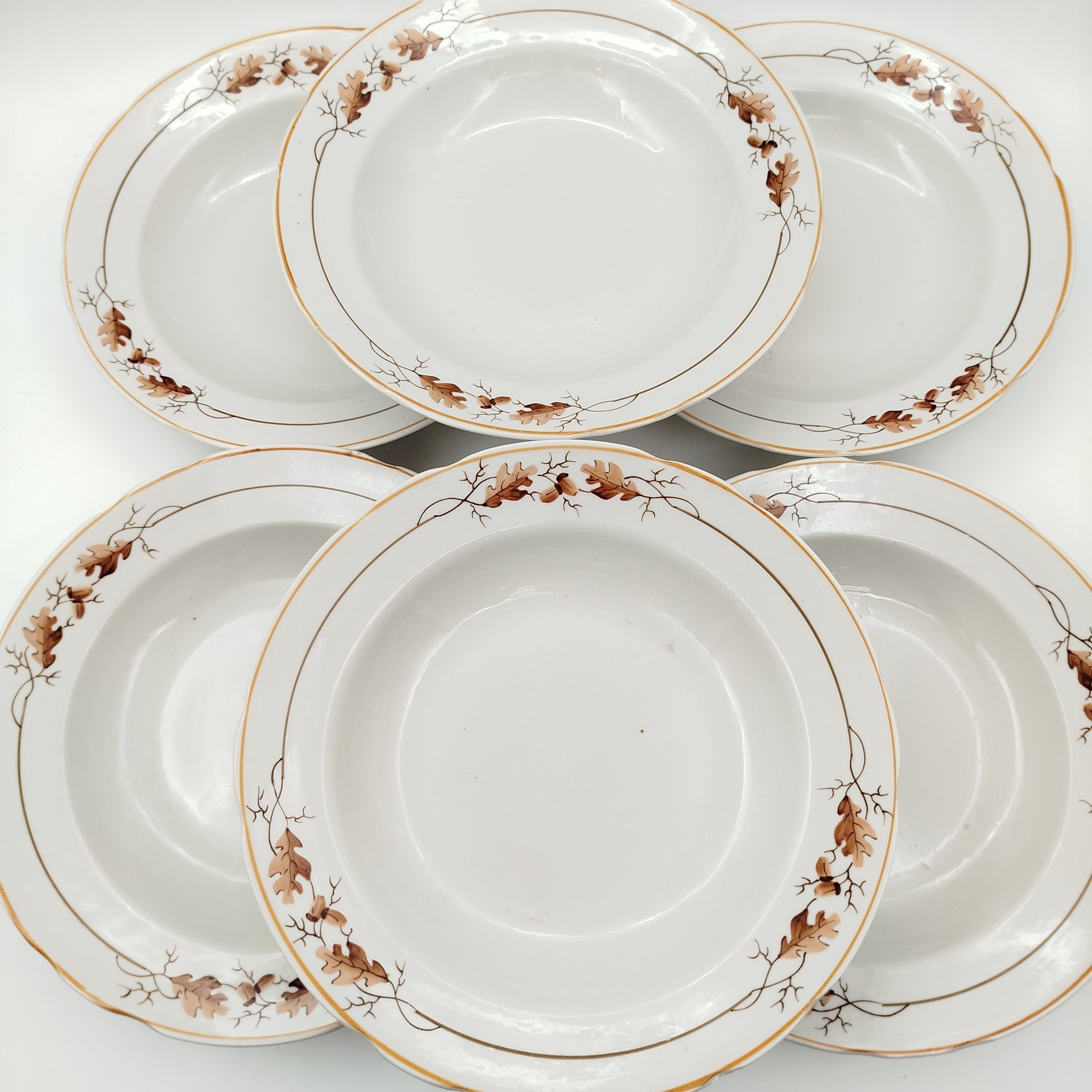 Набор из шести суповых тарелок «Дубок»