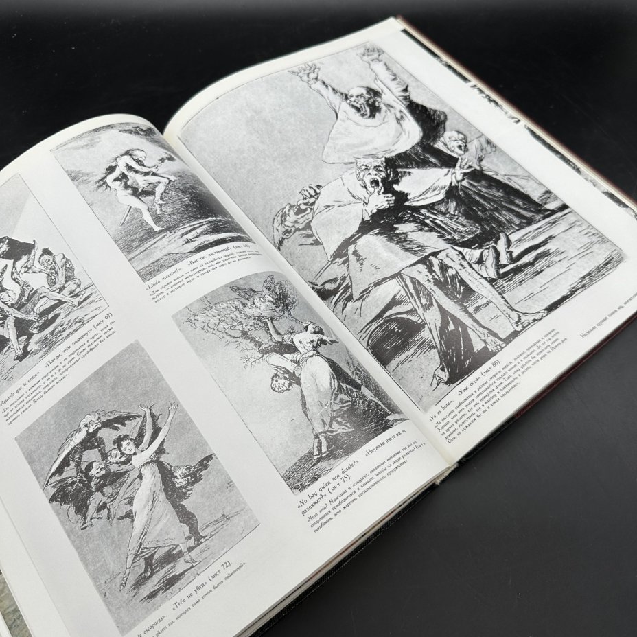Альбом "Мир Гойи", Р. Шикель, Издательство «Терра»