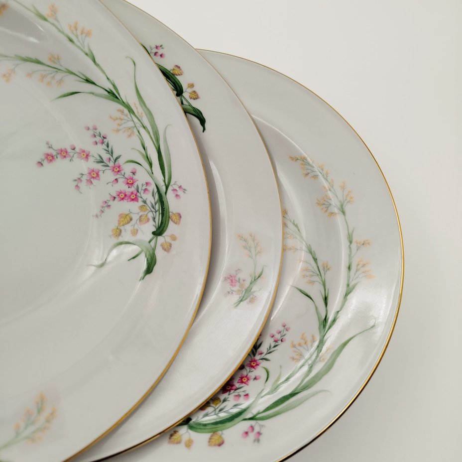 Набор обеденных (глубоких) тарелок с цветочным декором на 6 персон, фарфор, деколь, золочение, Bareuther & Co., Bavaria, Германия, 1931-1945 гг.