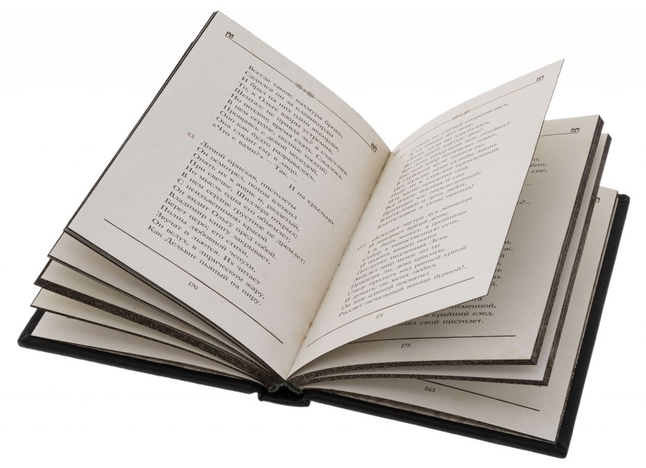 Книга А.С. Пушкин "Евгений Онегин" подарочное издание, "Издательский дом Мещерякова", кожаный переплет