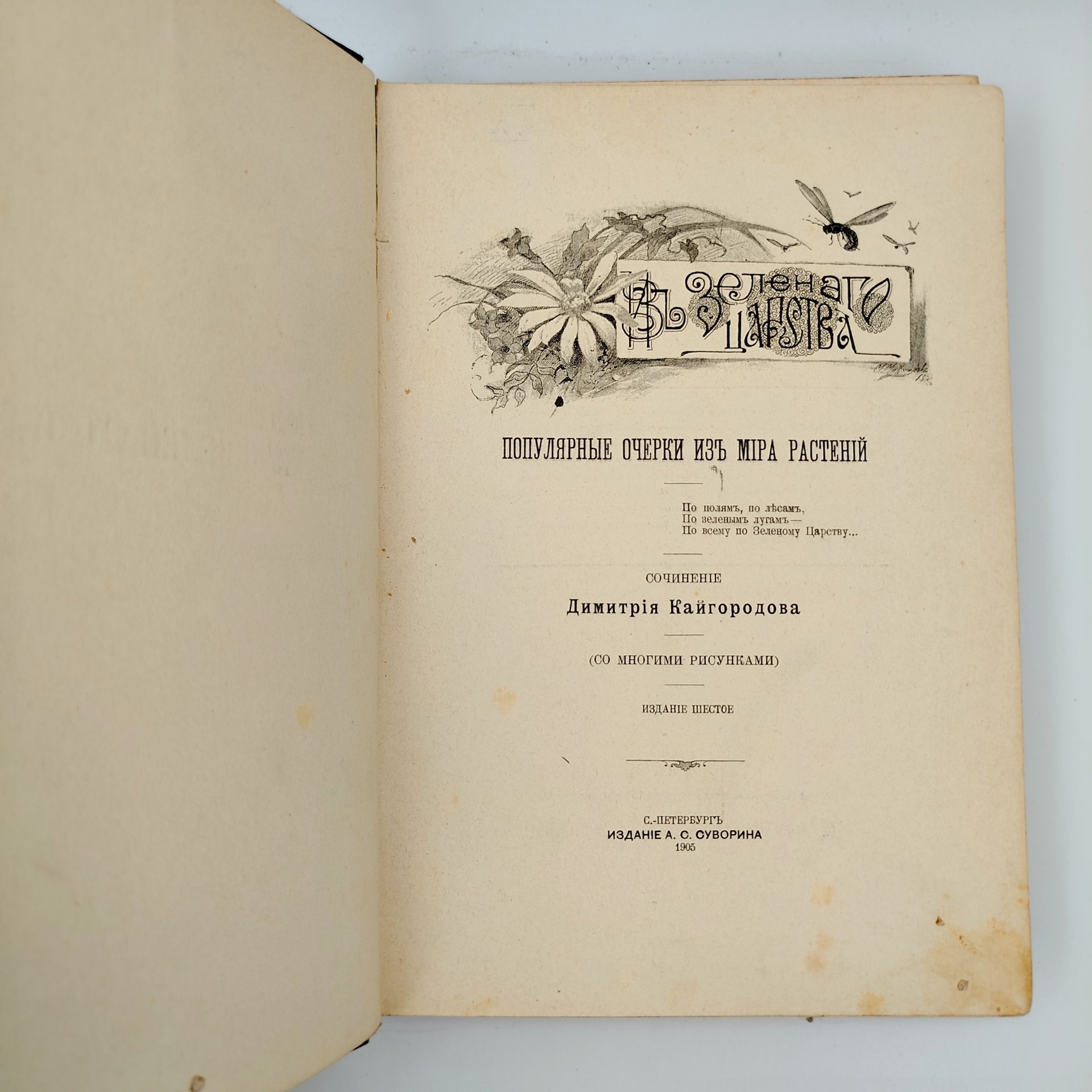 Кайгородов Д.Н. "Из зеленого царства. Популярные очерки из мира растений", издание 6-е