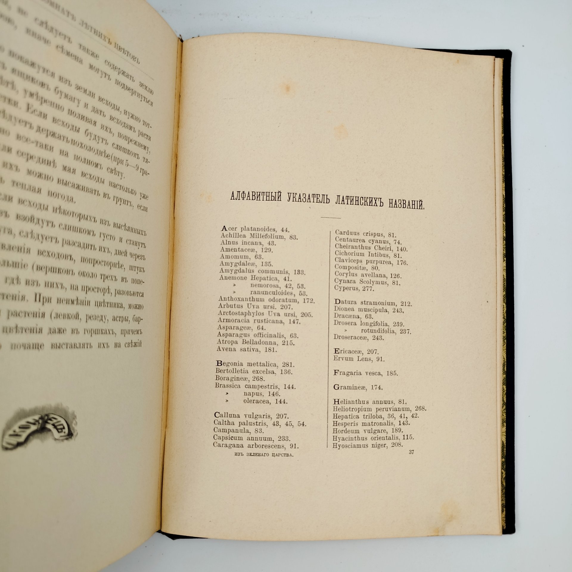 Кайгородов Д.Н. "Из зеленого царства. Популярные очерки из мира растений", издание 6-е