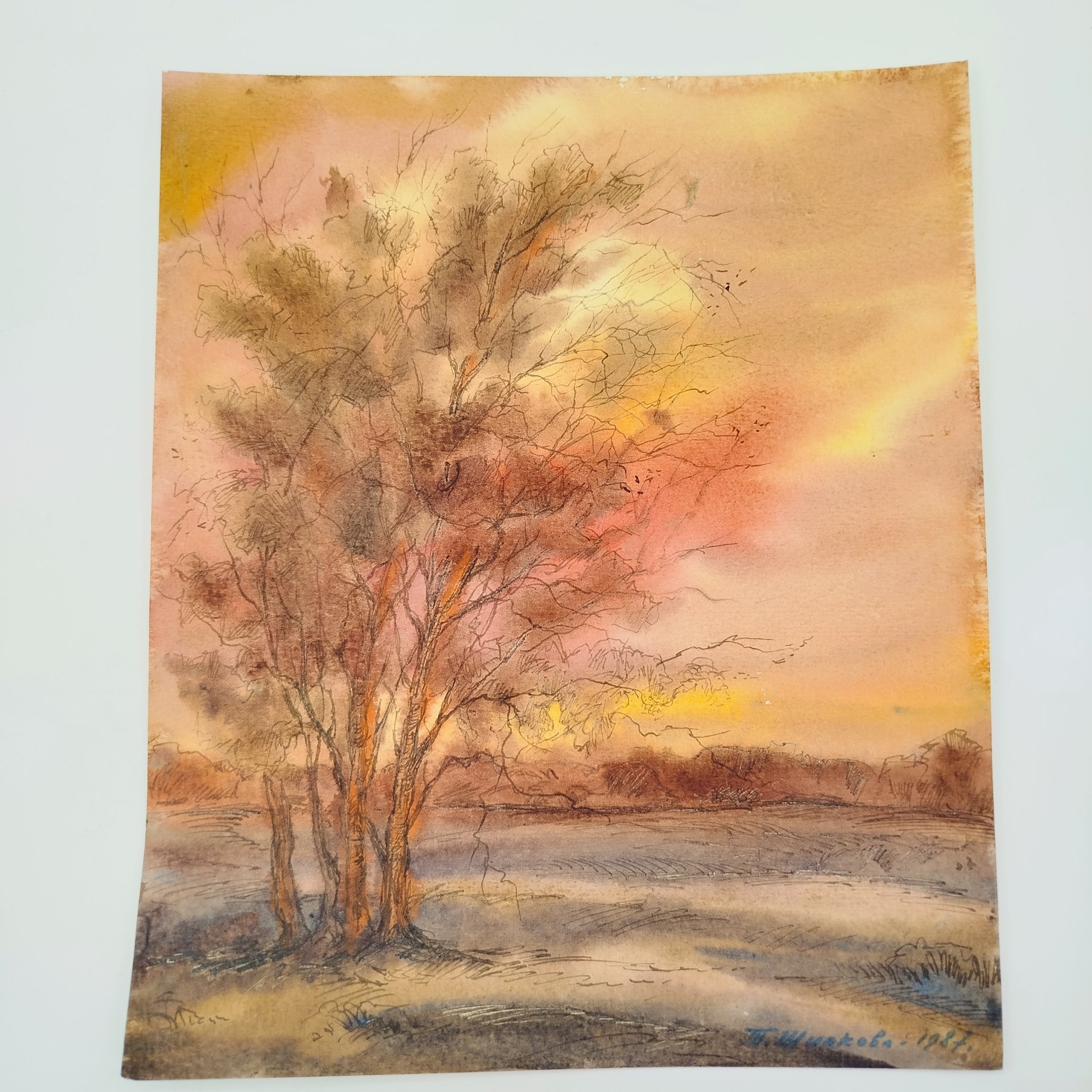 Этюд "Пейзаж с деревом", автор Т. Шипкова, бумага, смешанная техника, СССР, 1987 г.