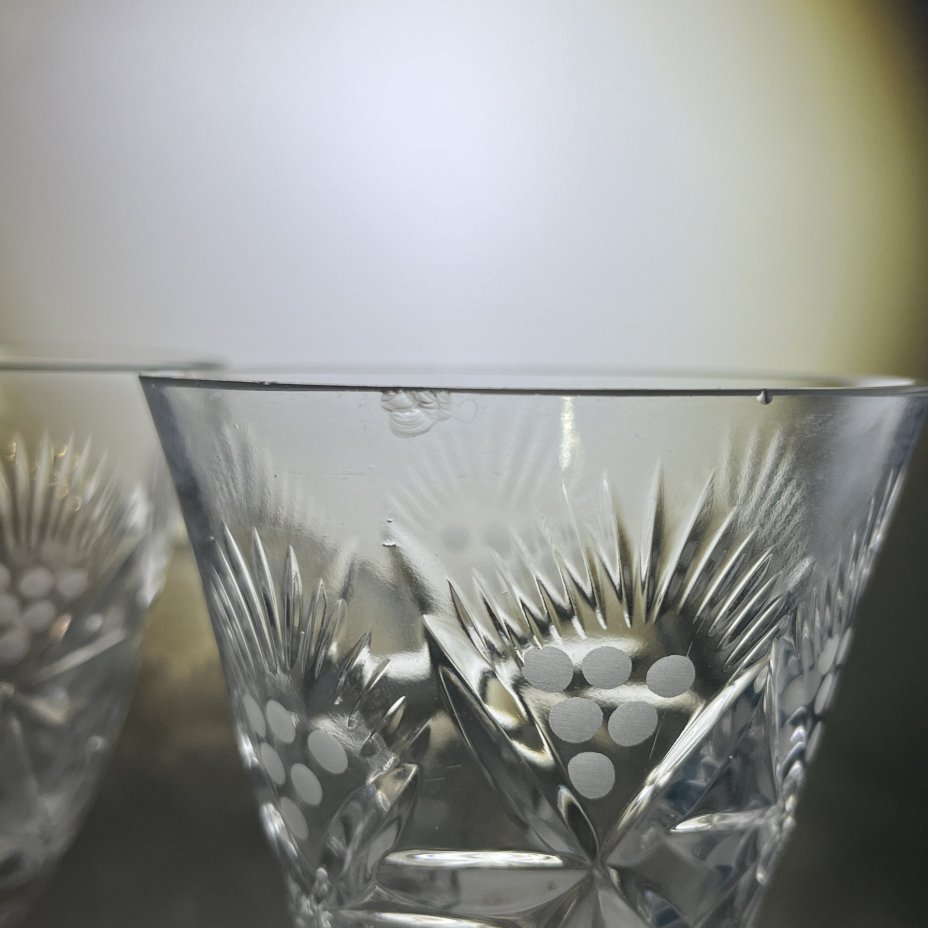 Набор из 2 бокалов с растительным декором