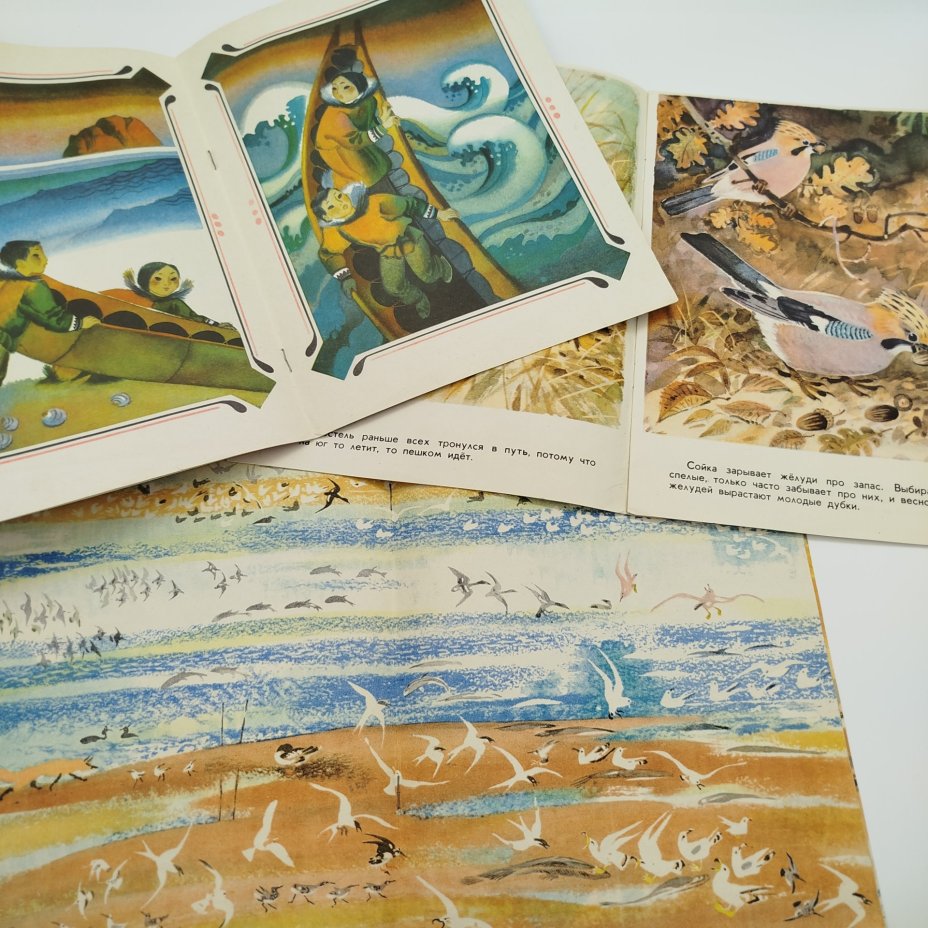 Набор из 5-ти детских книг (В. Астафьев "Зорькина песня", "Чайка", С. Михалков "Дядя Стёпа", Е. Чарушин "Медведь-рыбак", Г. Снегирёв "Как птицы и звери к зиме готовятся"), Издательство "Малыш"
