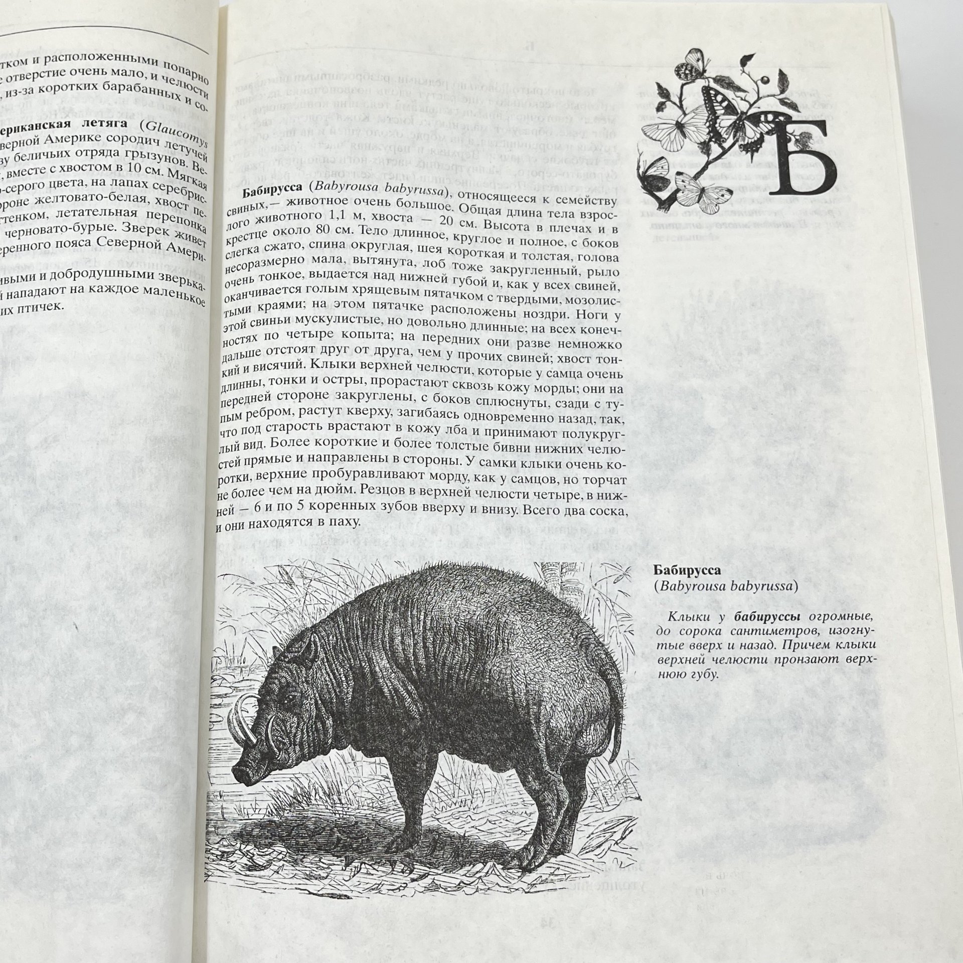 Книга "Жизнь животных", авт. Альфред Брем, бумага, печать, Издательство «Эксмо», Россия, 2004 г., Издательство «Эксмо»