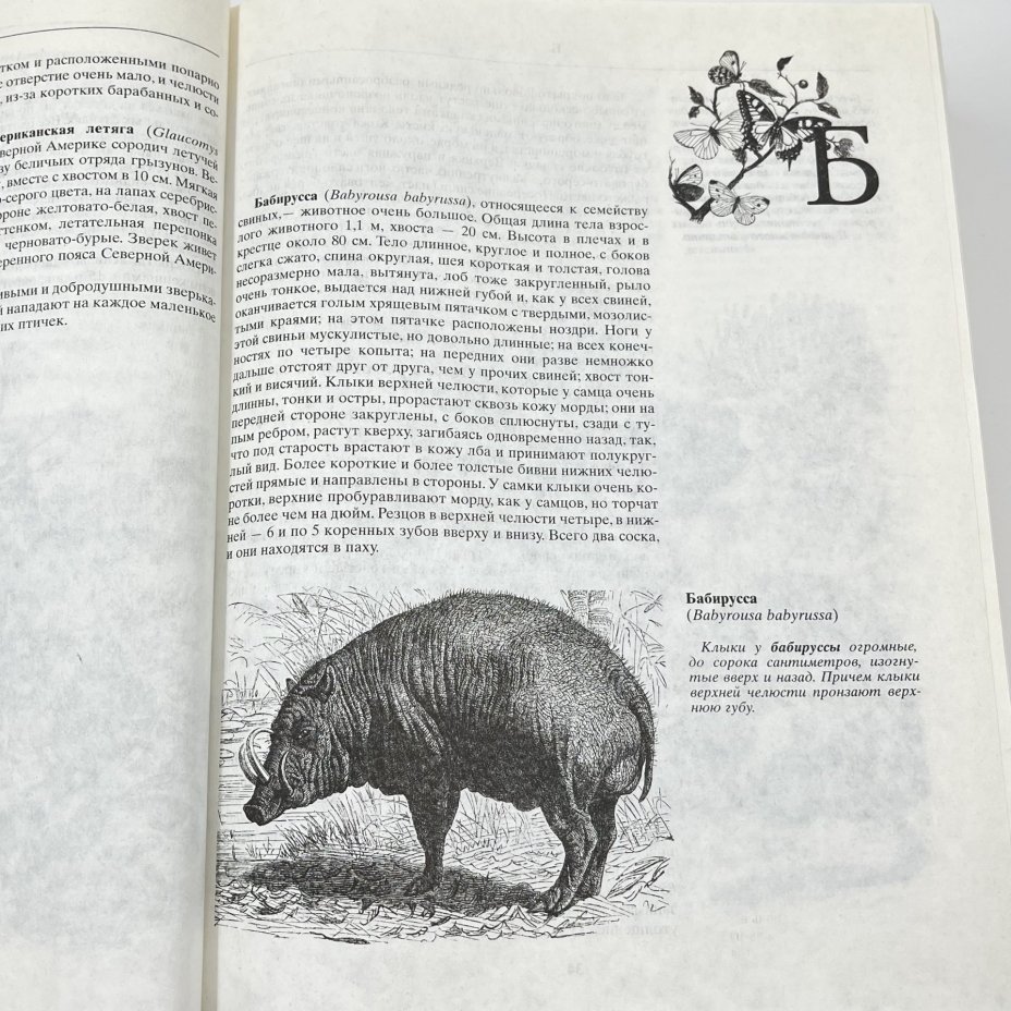 Книга "Жизнь животных", авт. Альфред Брем, бумага, печать, Издательство «Эксмо», Россия, 2004 г., Издательство «Эксмо»