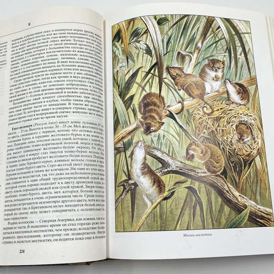 Книга "Жизнь животных", авт. Альфред Брем, бумага, печать, Издательство «Эксмо», Россия, 2004 г., Издательство «Эксмо»